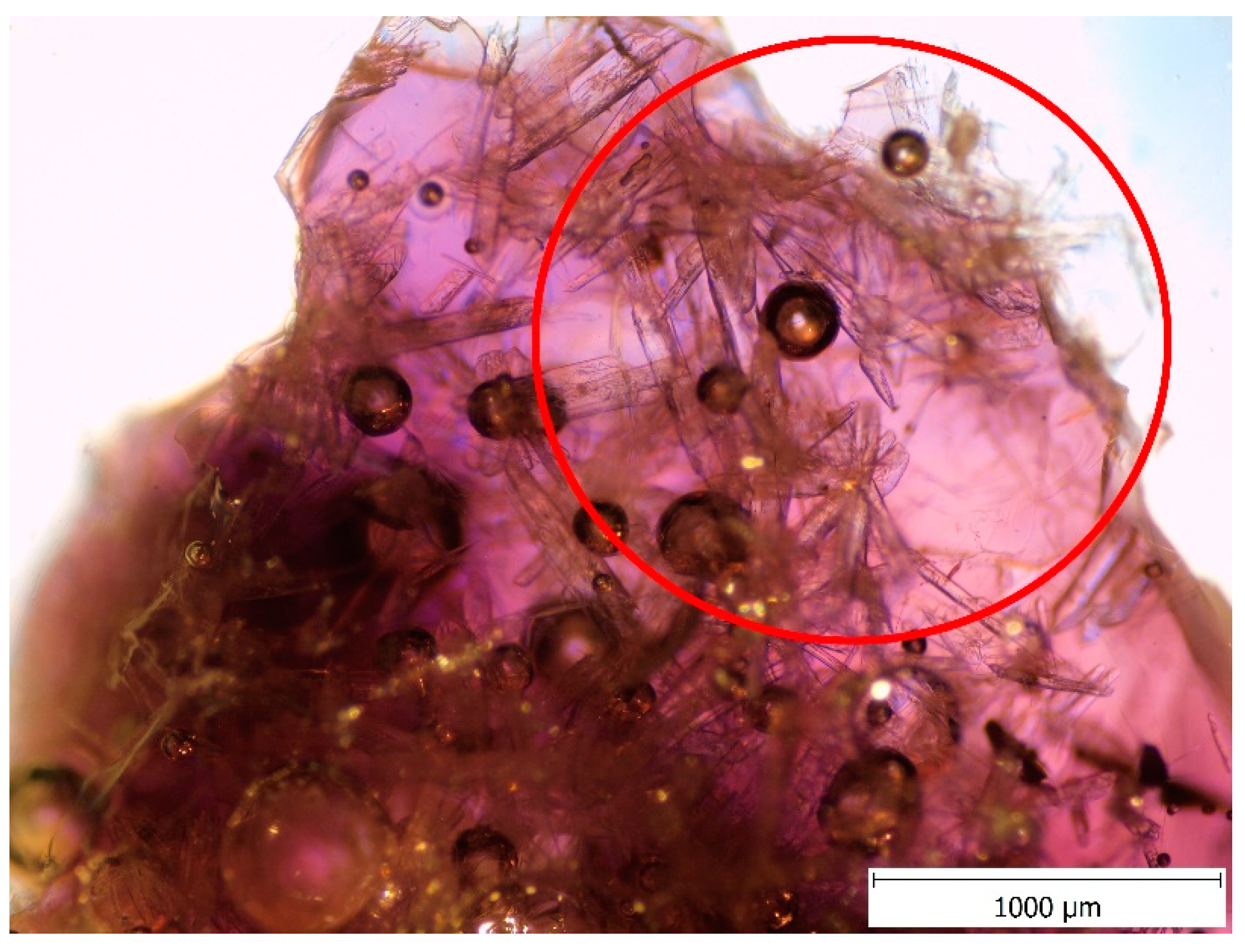 Minerals 11 00829 g007 550