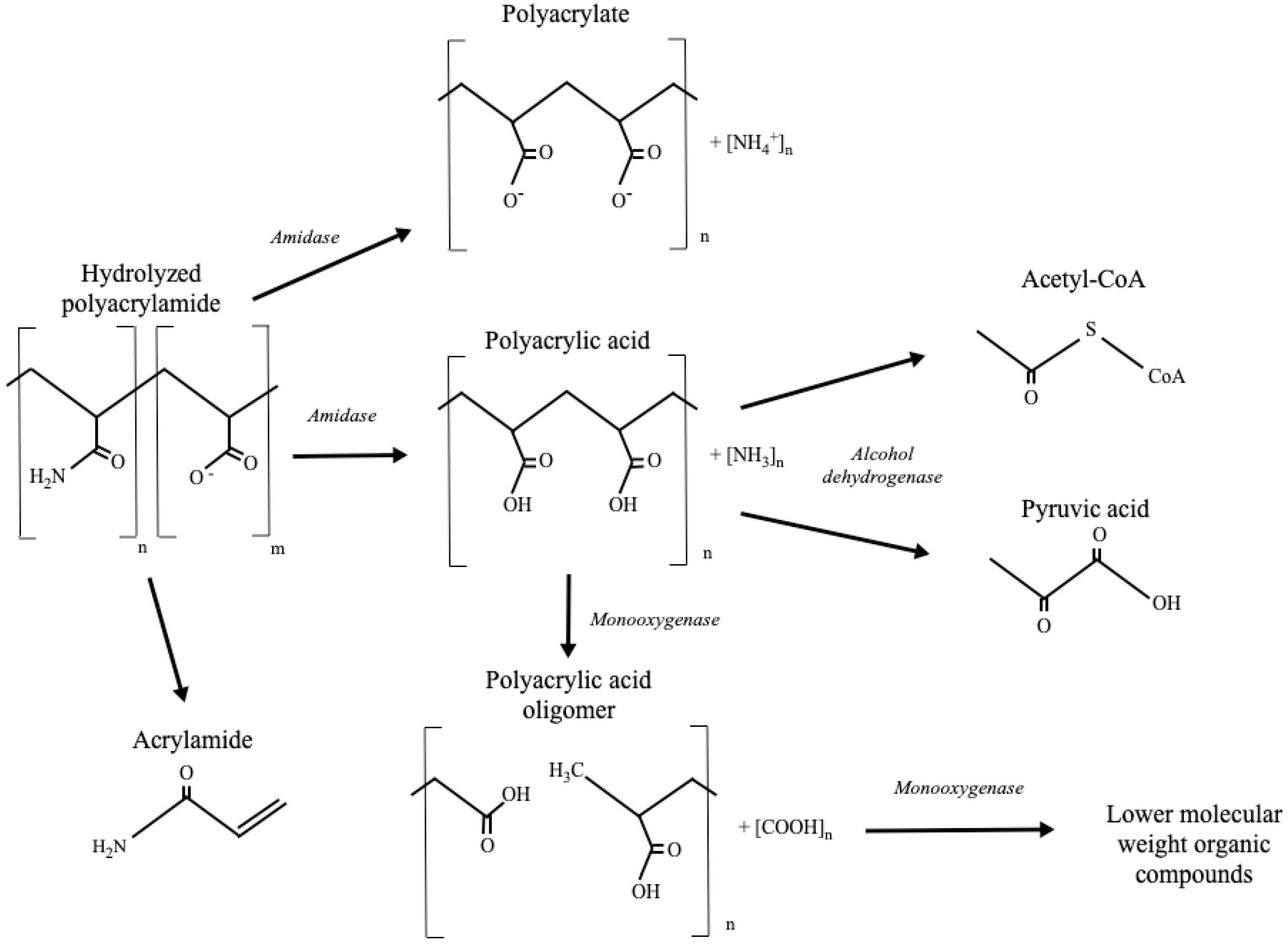 Minerals 11 00830 g003