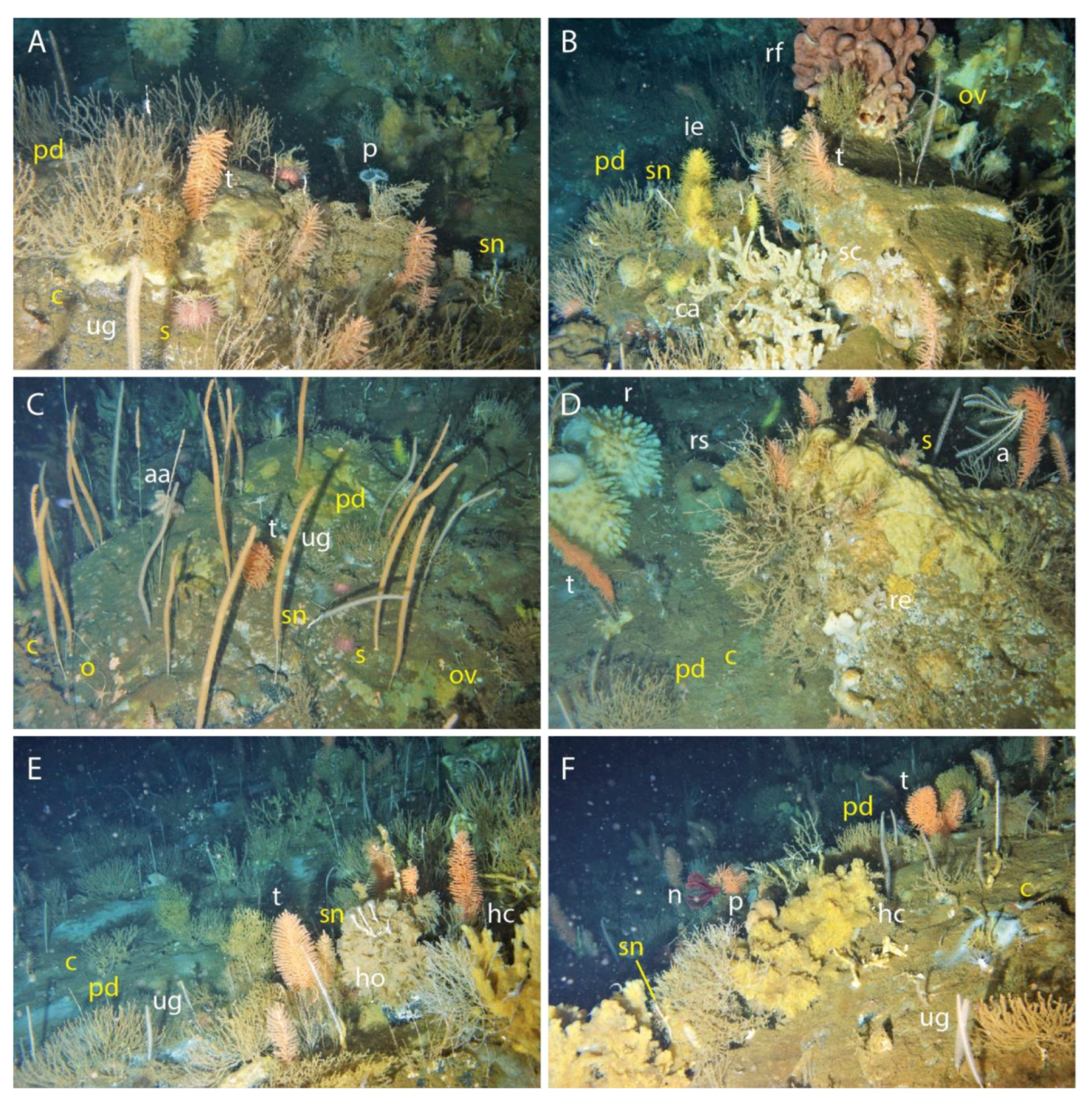 Minerals 11 00833 g004 Minerals 11 00833 g004