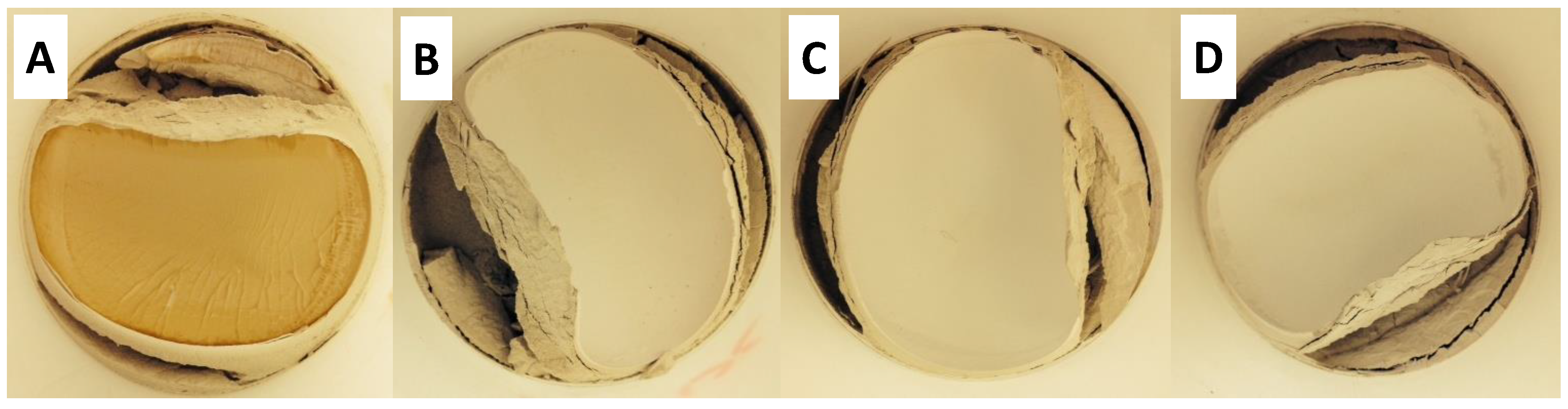 Minerals 11 00834 g010 550