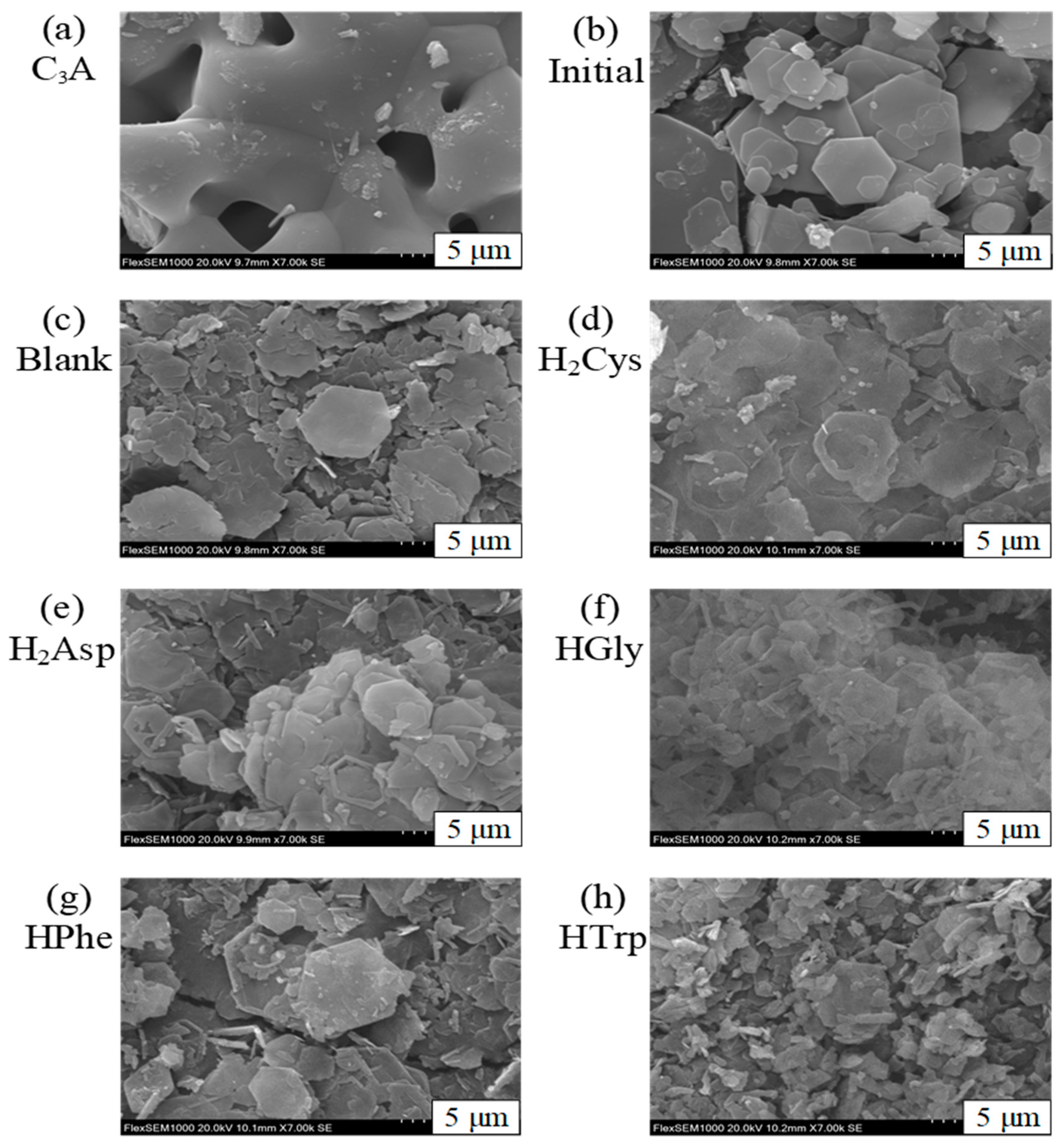 Minerals 11 00836 g004