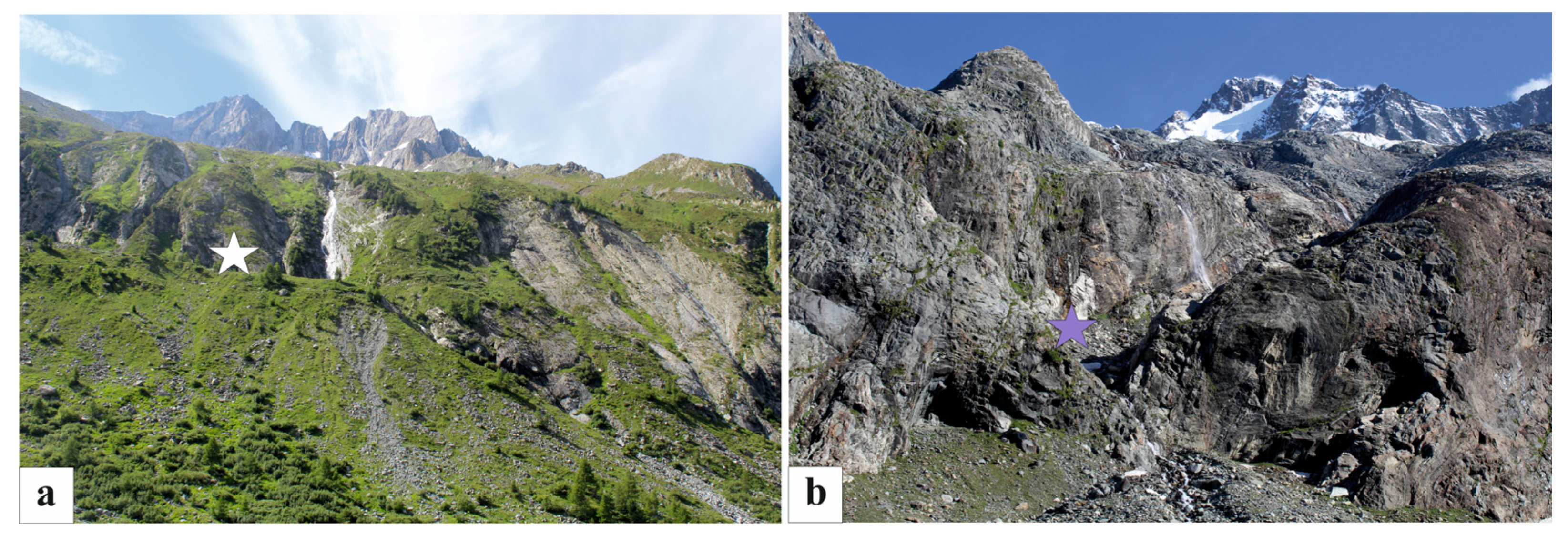 Minerals 11 00837 g005 550