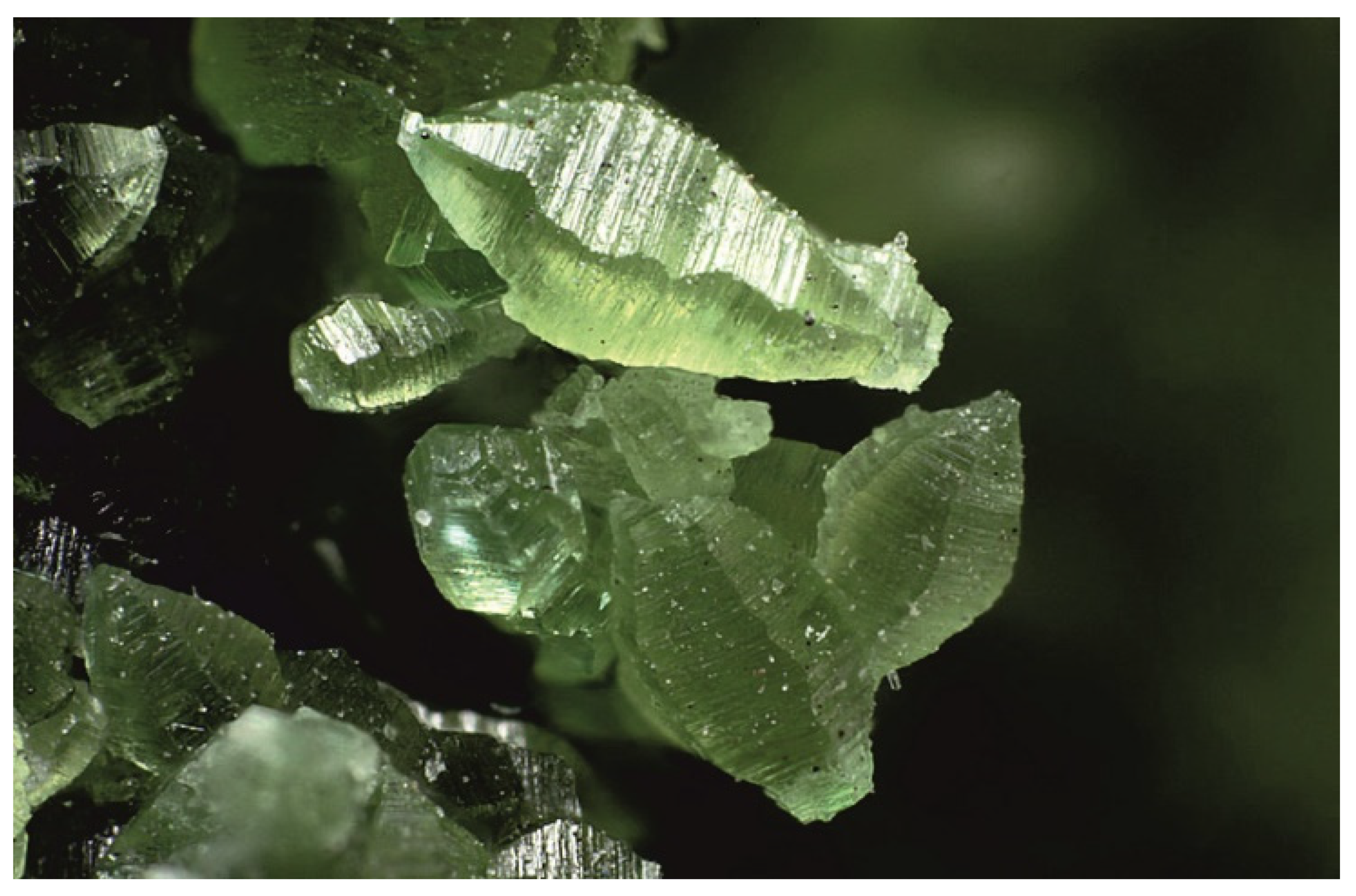 Minerals 11 00837 g014 550