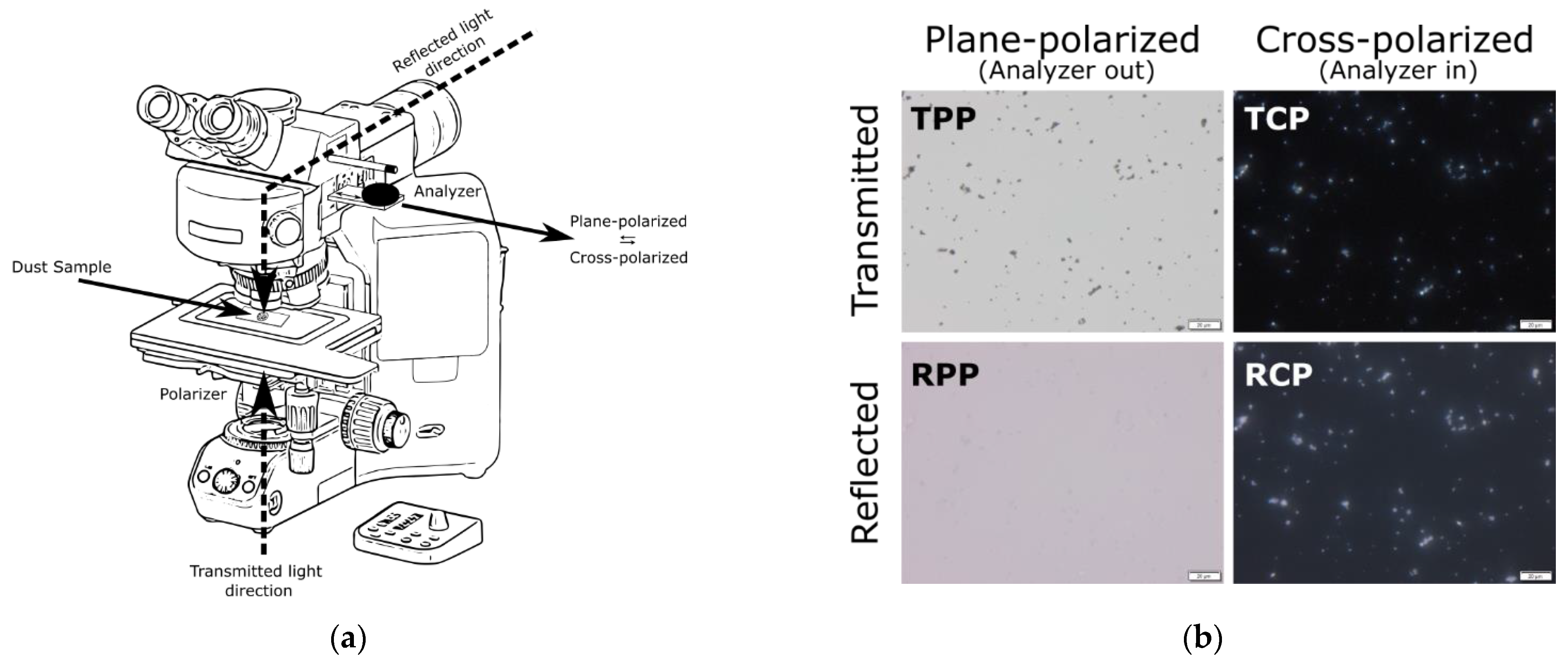 Minerals 11 00838 g003 550