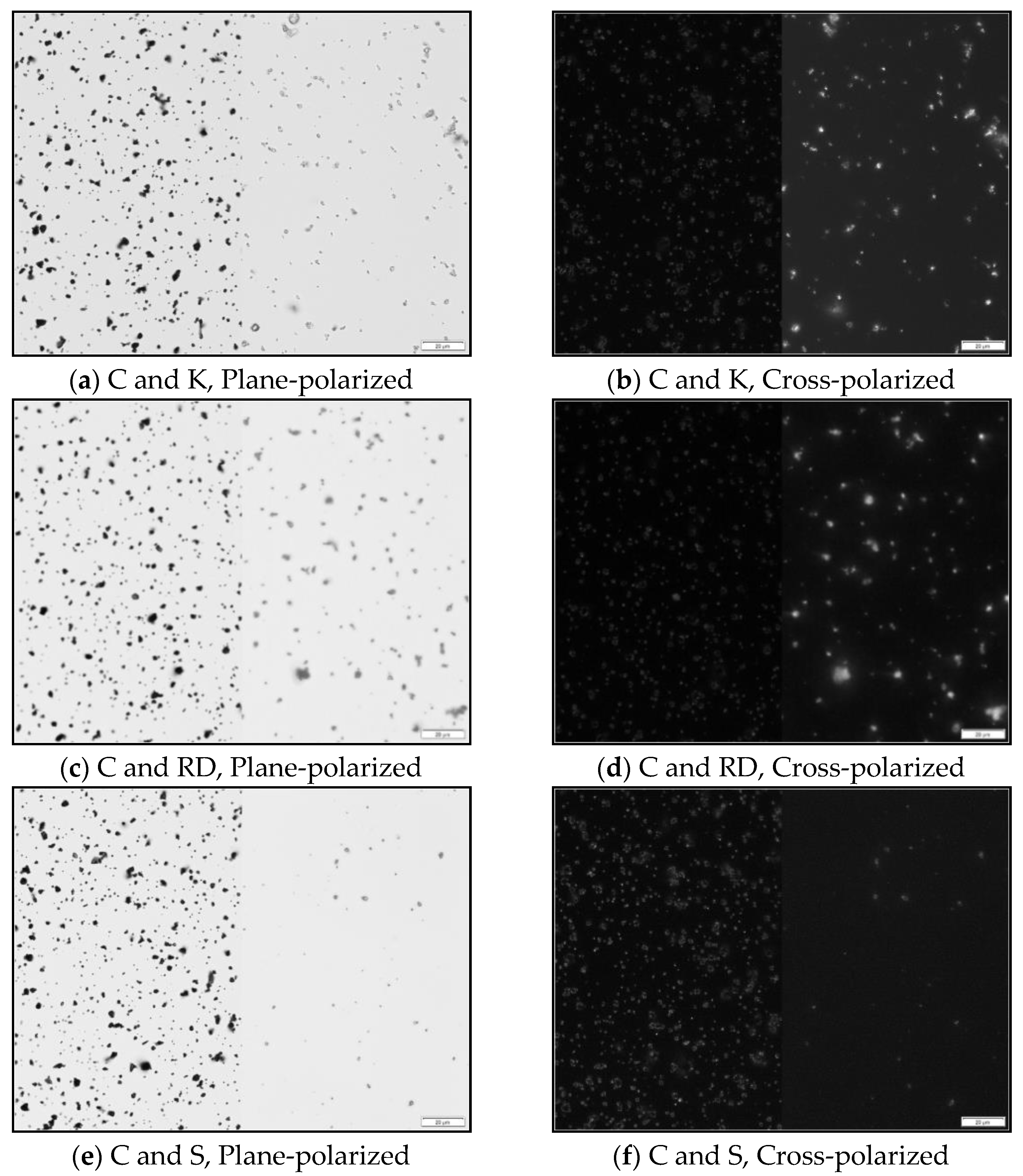 Minerals 11 00838 g004 550