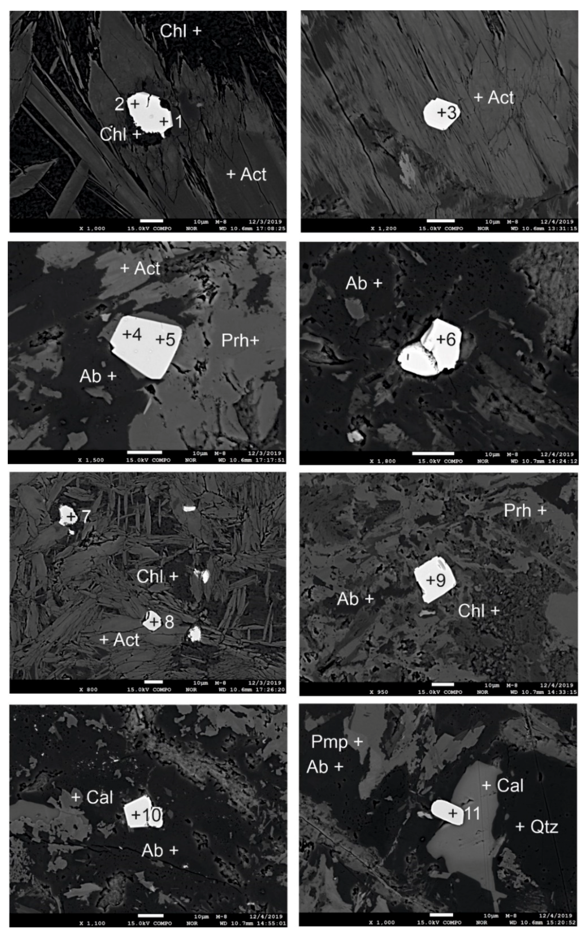 Minerals 11 00841 g007
