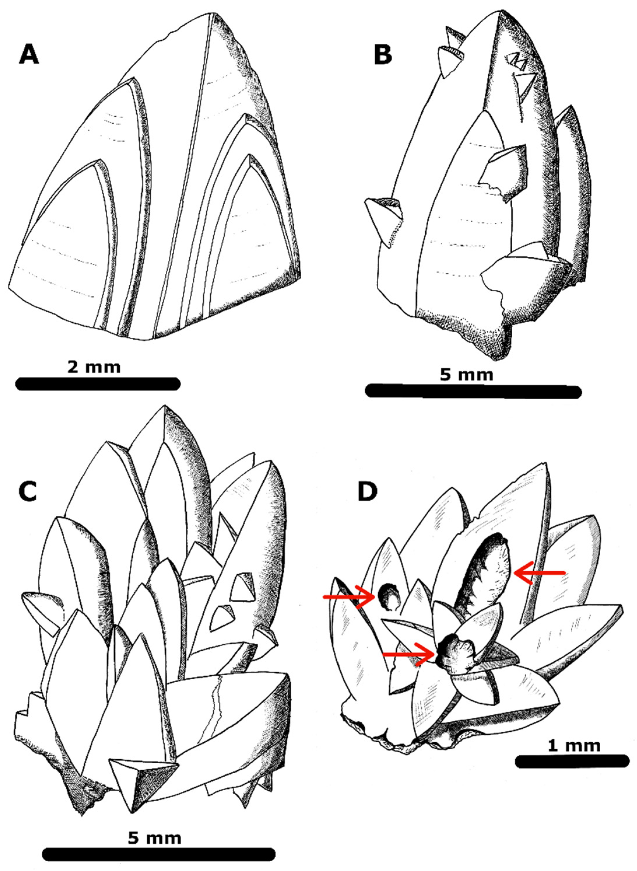 Minerals 11 00866 g003 Minerals 11 00866 g003