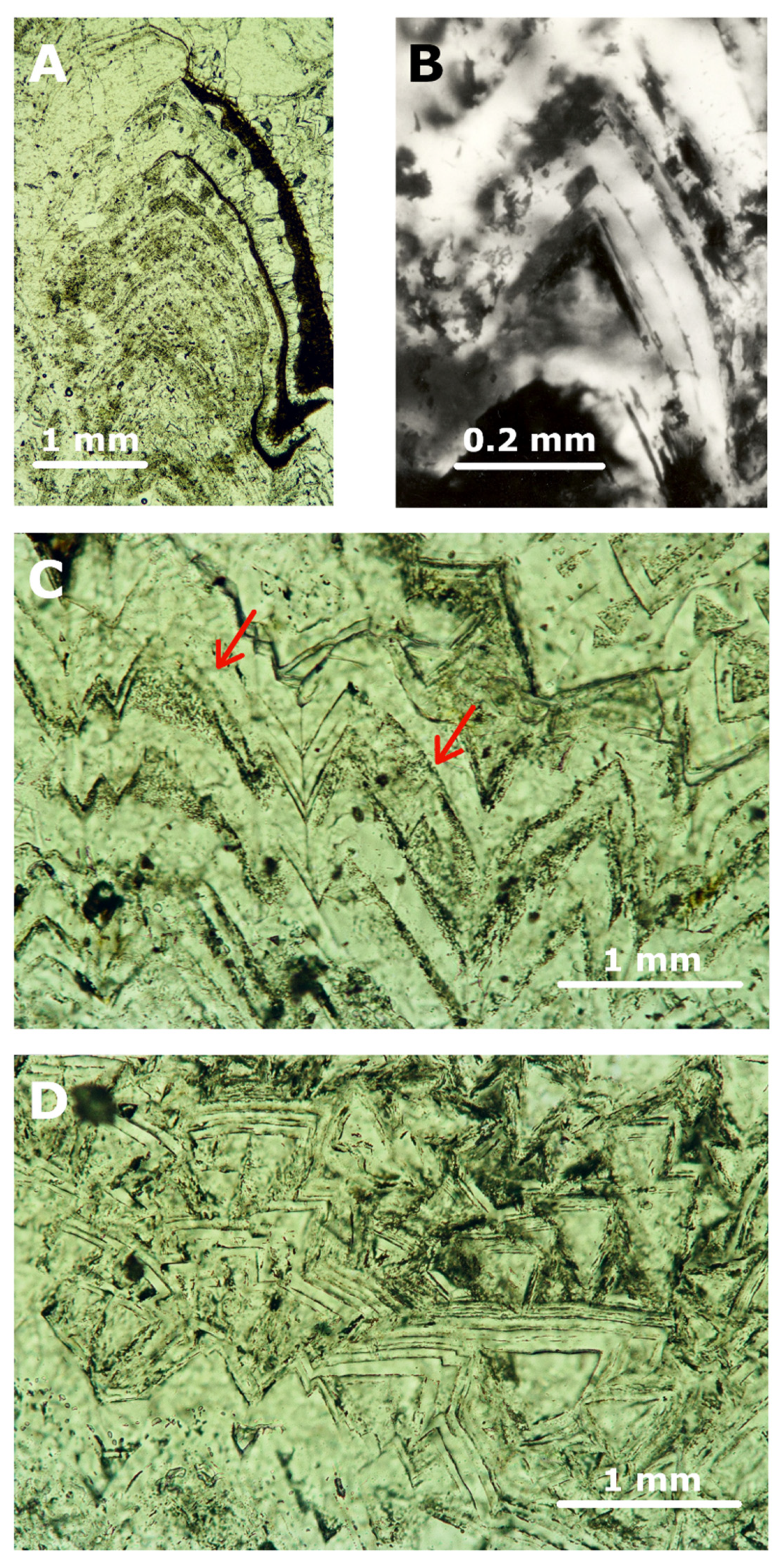 Minerals 11 00866 g004 Minerals 11 00866 g004