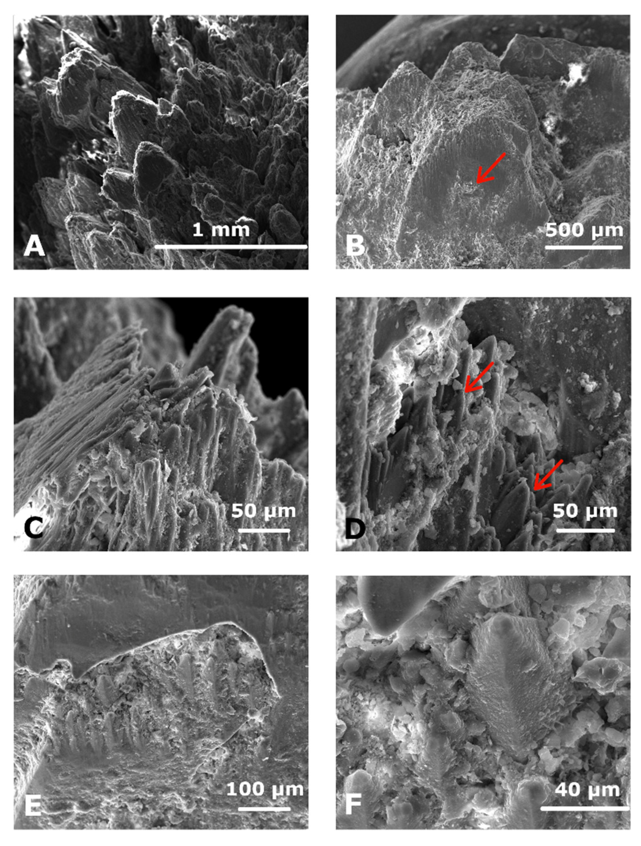 Minerals 11 00866 g006 Minerals 11 00866 g006