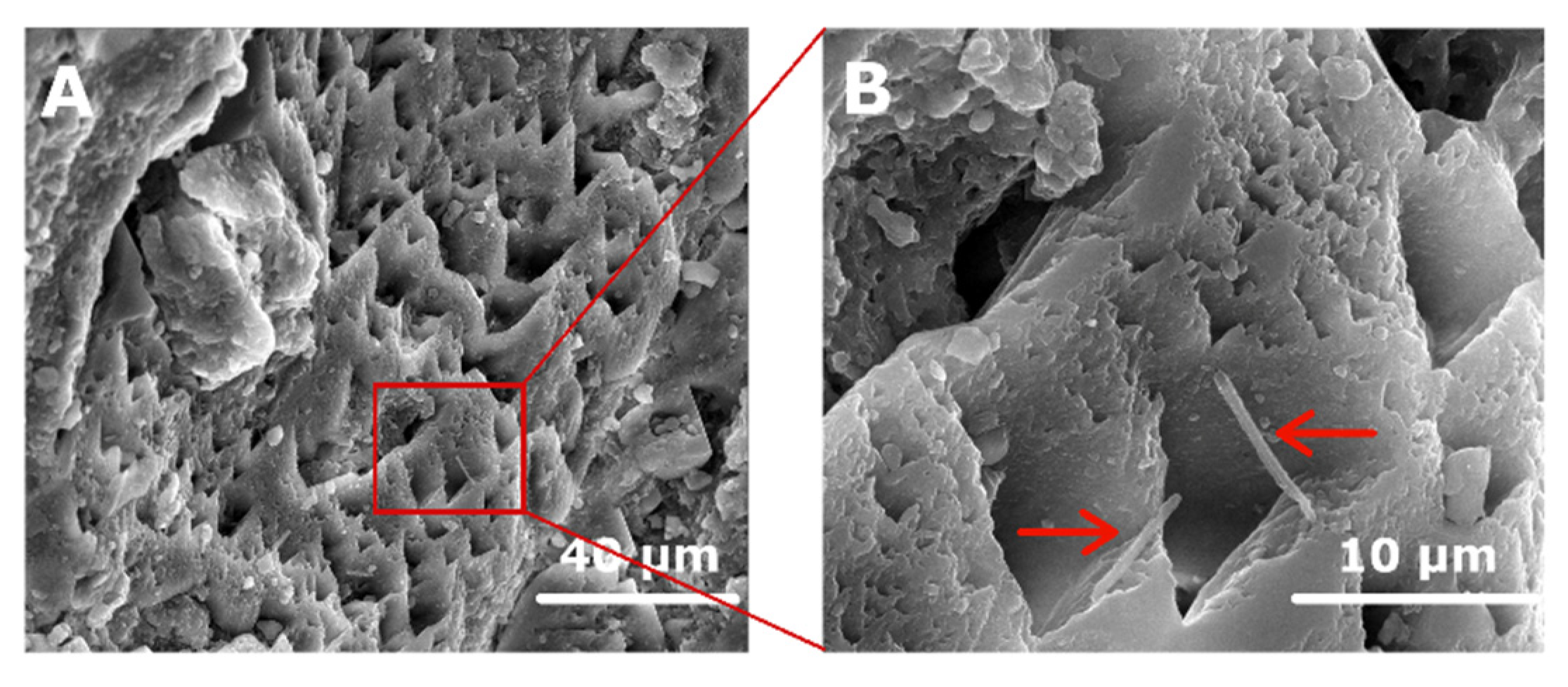 Minerals 11 00866 g007 Minerals 11 00866 g007