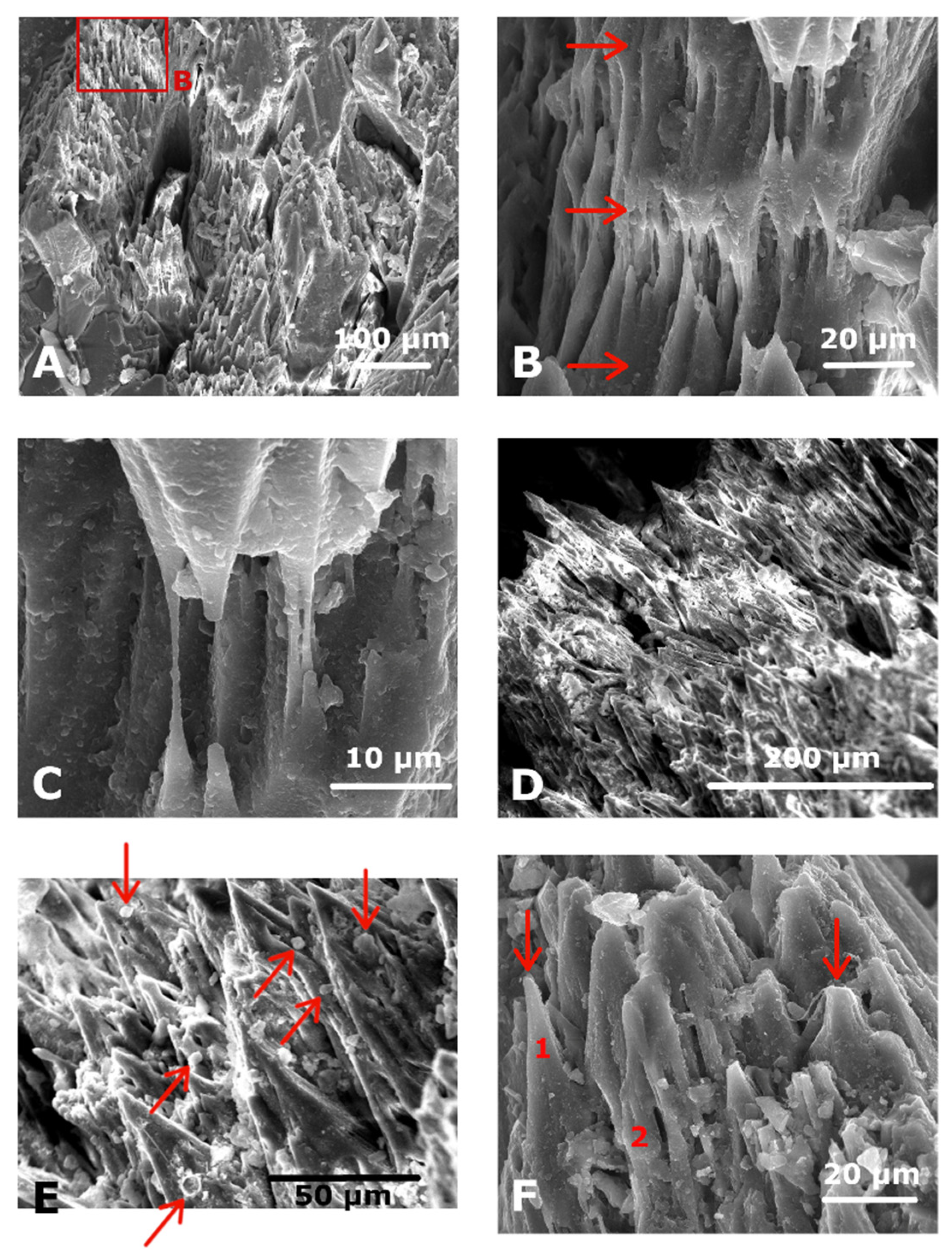 Minerals 11 00866 g009 Minerals 11 00866 g009