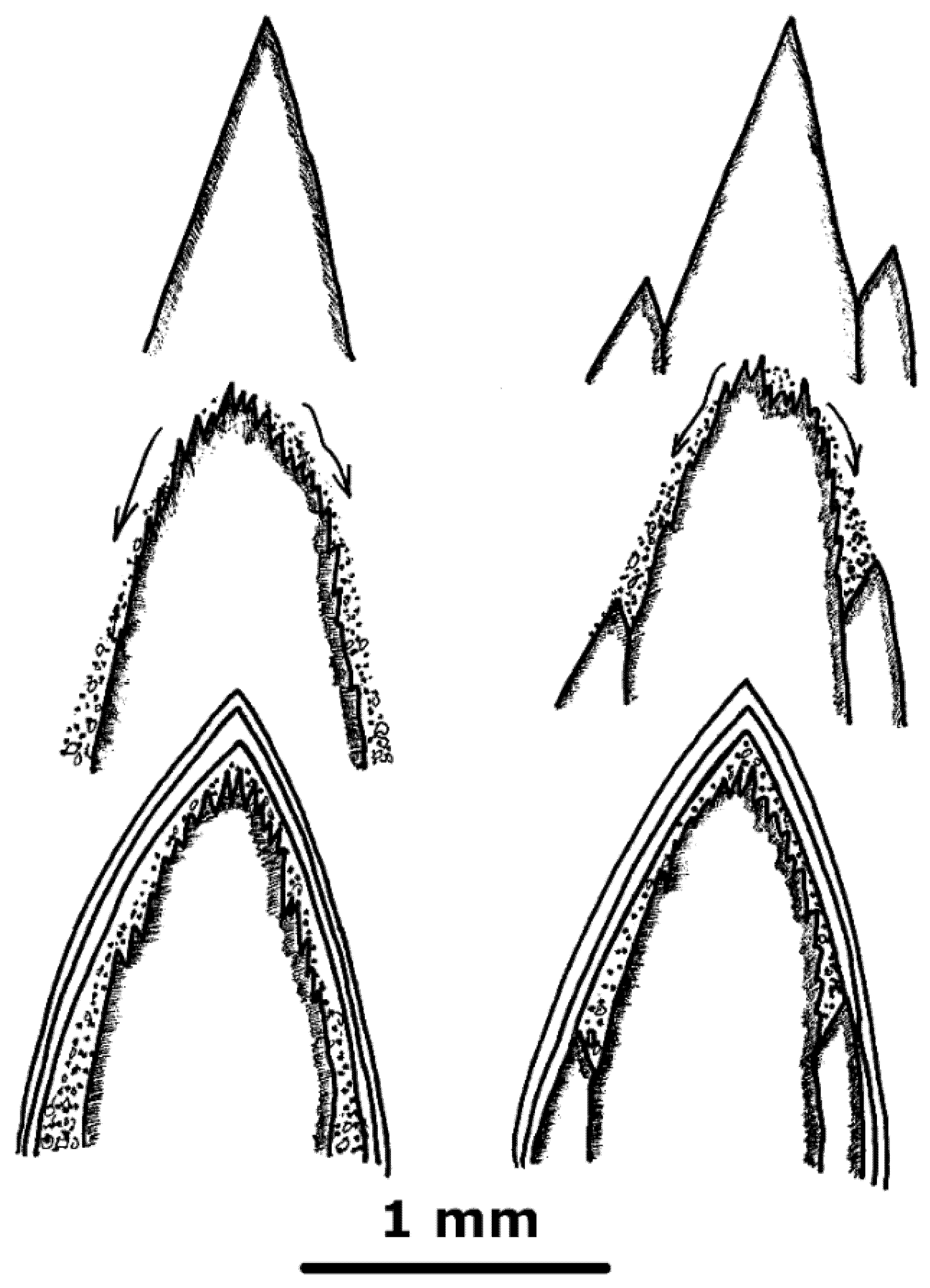 Minerals 11 00866 g013 Minerals 11 00866 g013