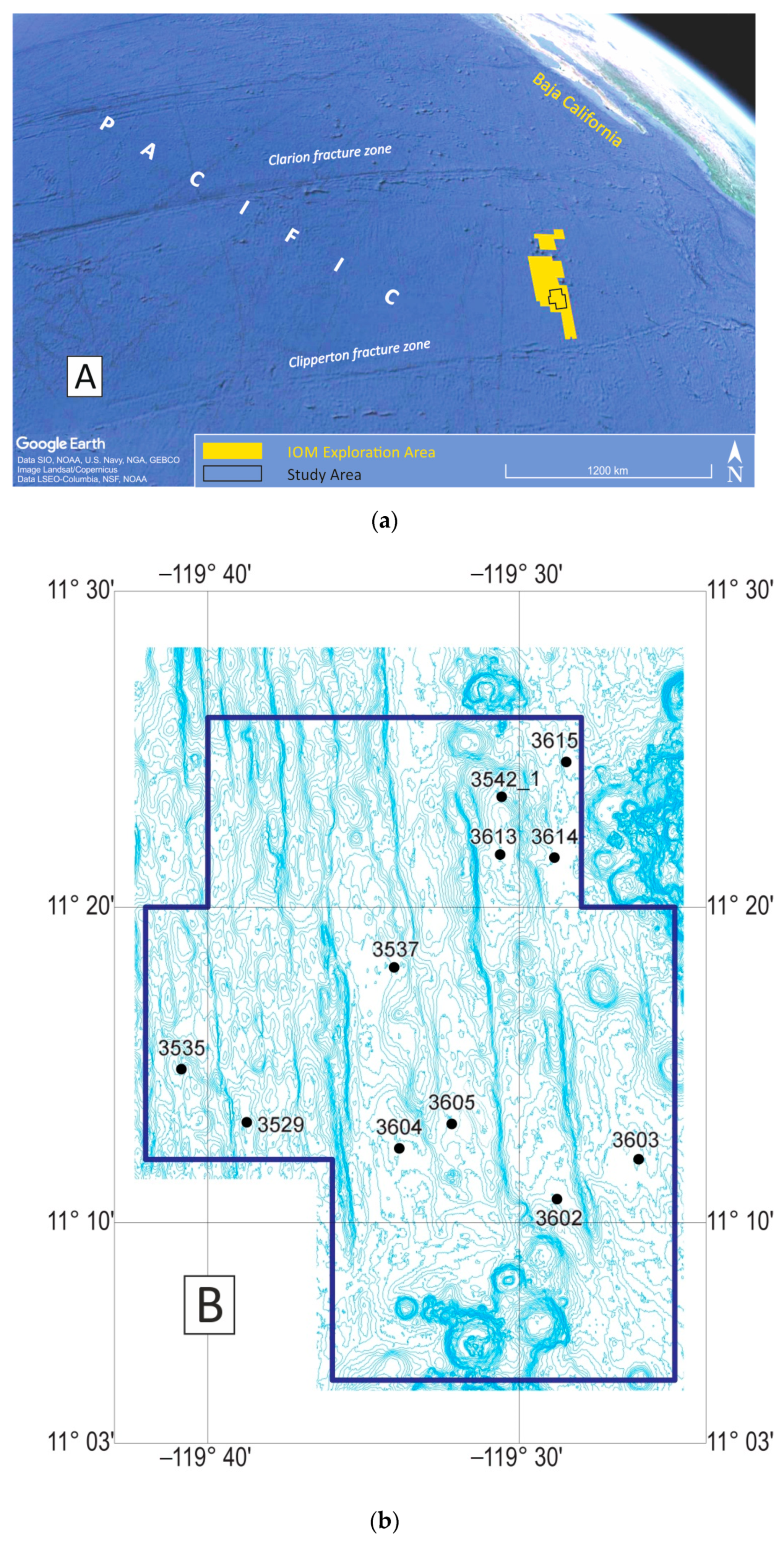 Minerals 11 00868 g002 550