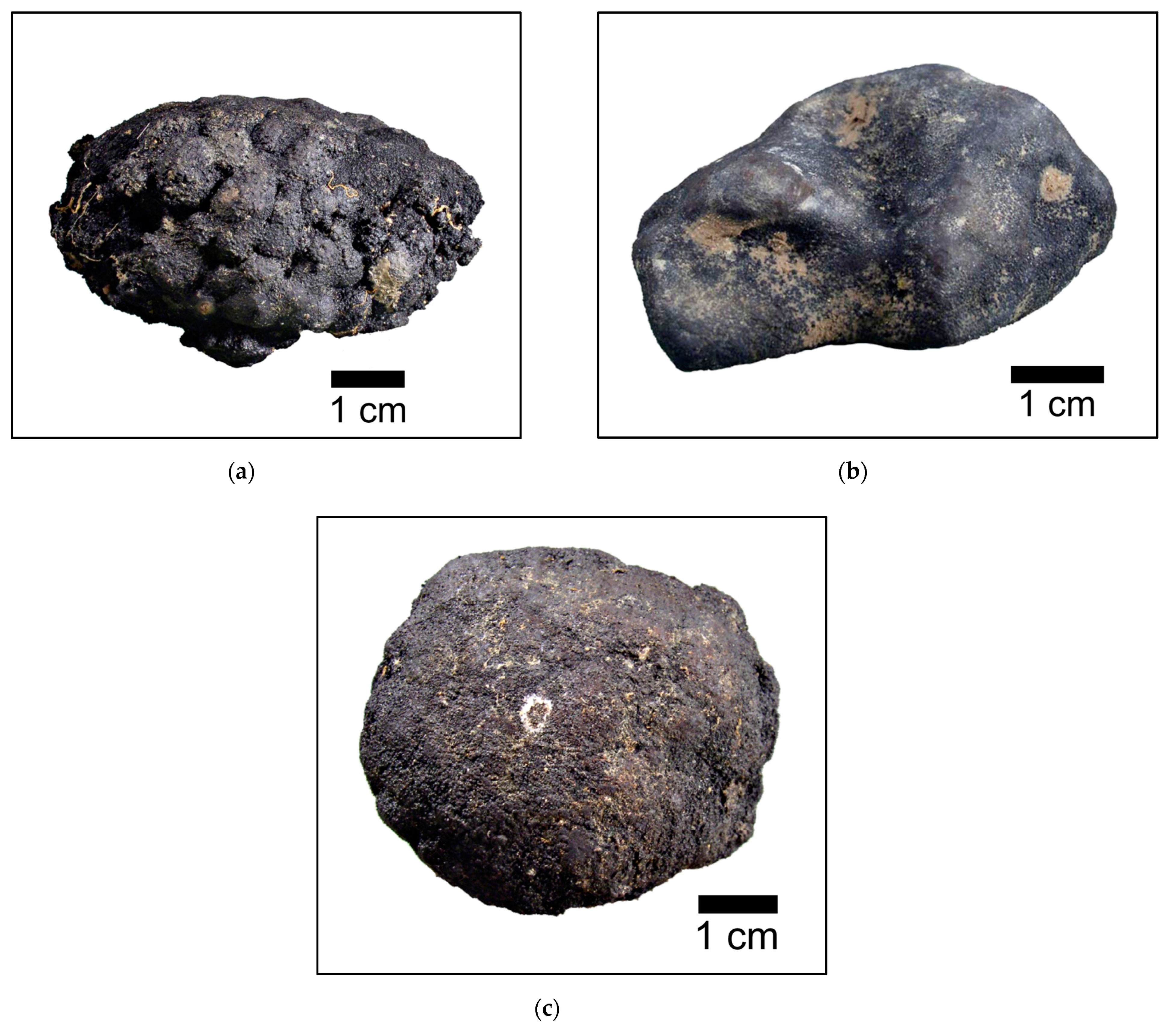 Minerals 11 00868 g003 550