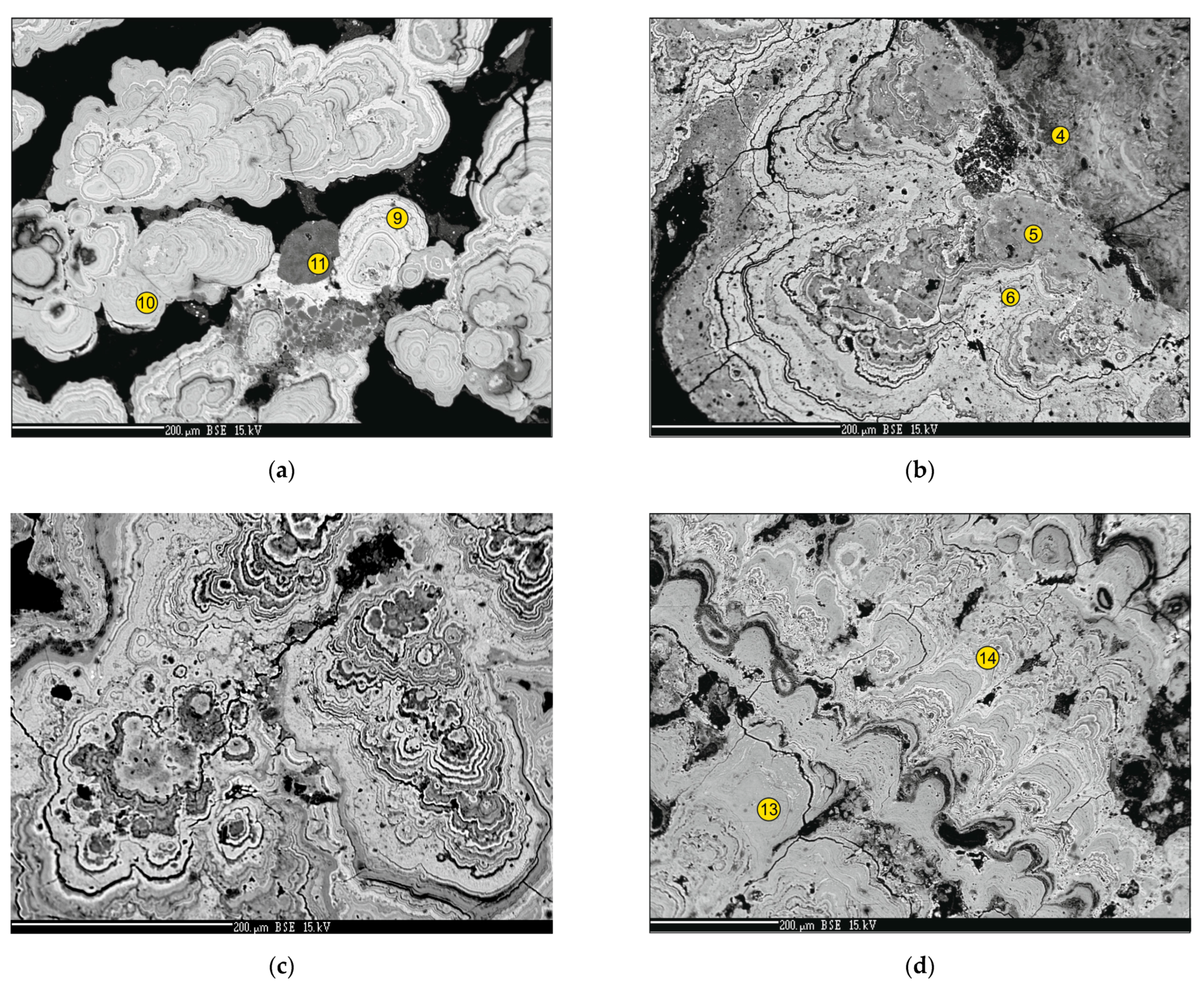 Minerals 11 00868 g005a 550