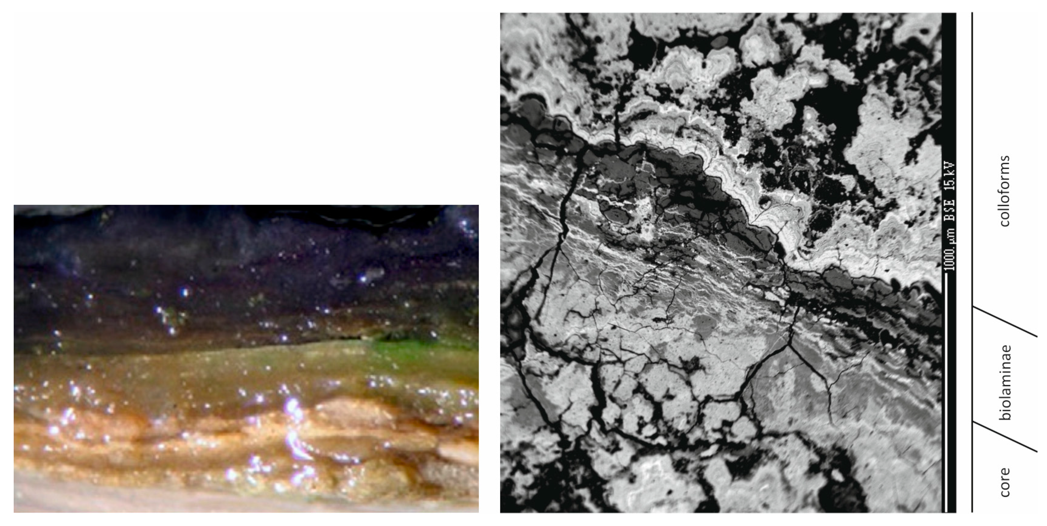 Minerals 11 00868 g014 550