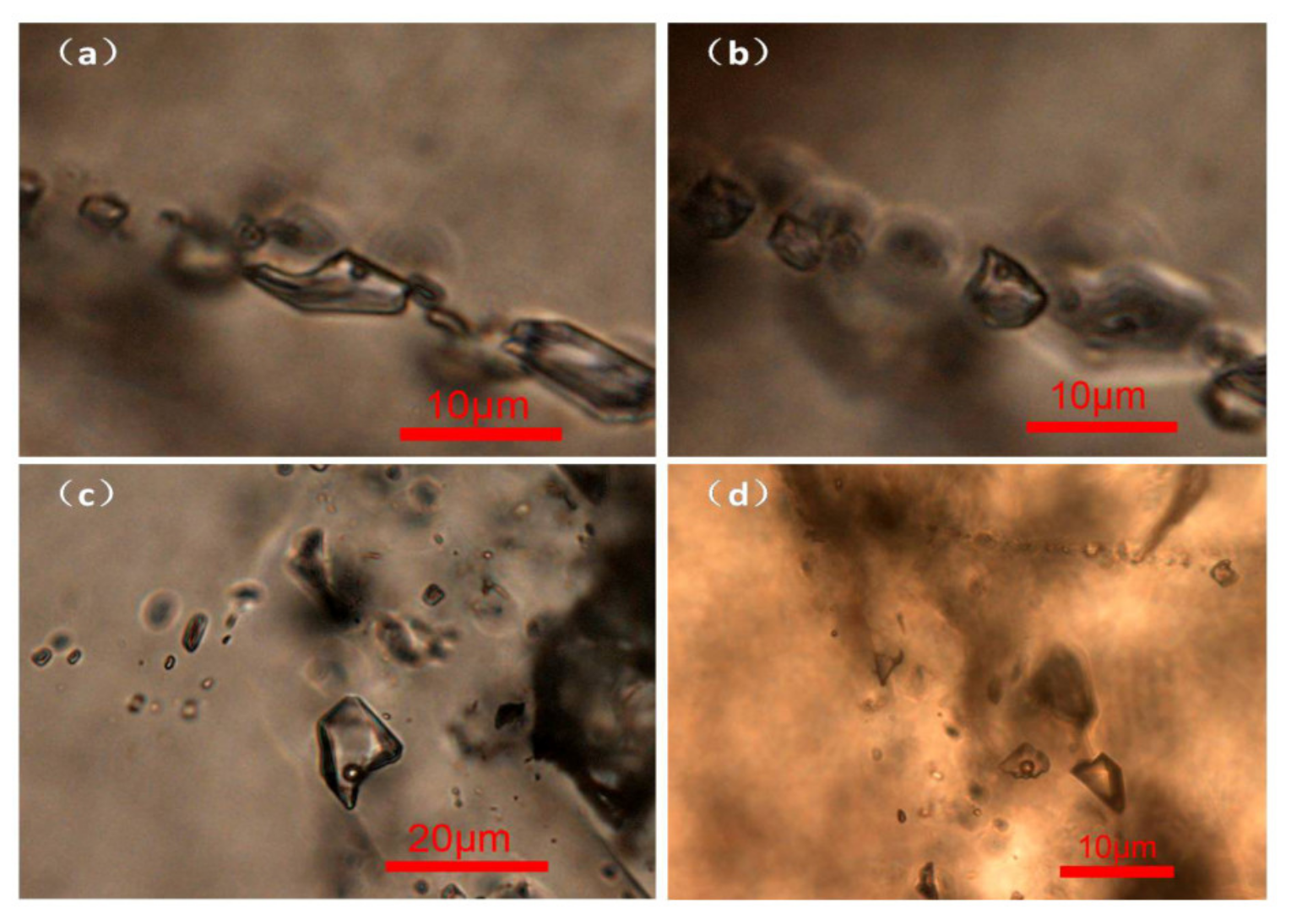Minerals 11 00877 g007 550