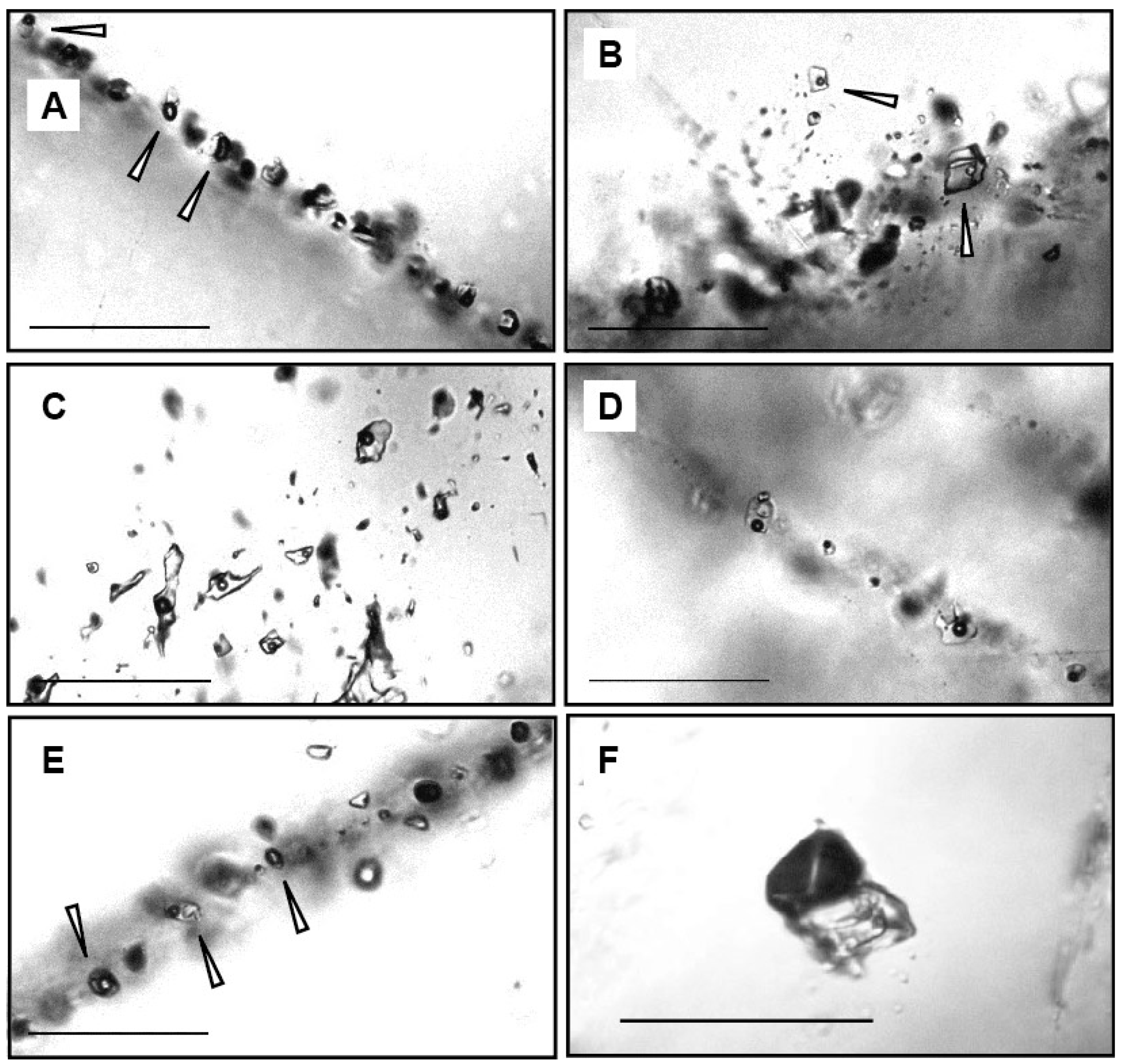 Minerals 11 00888 g003