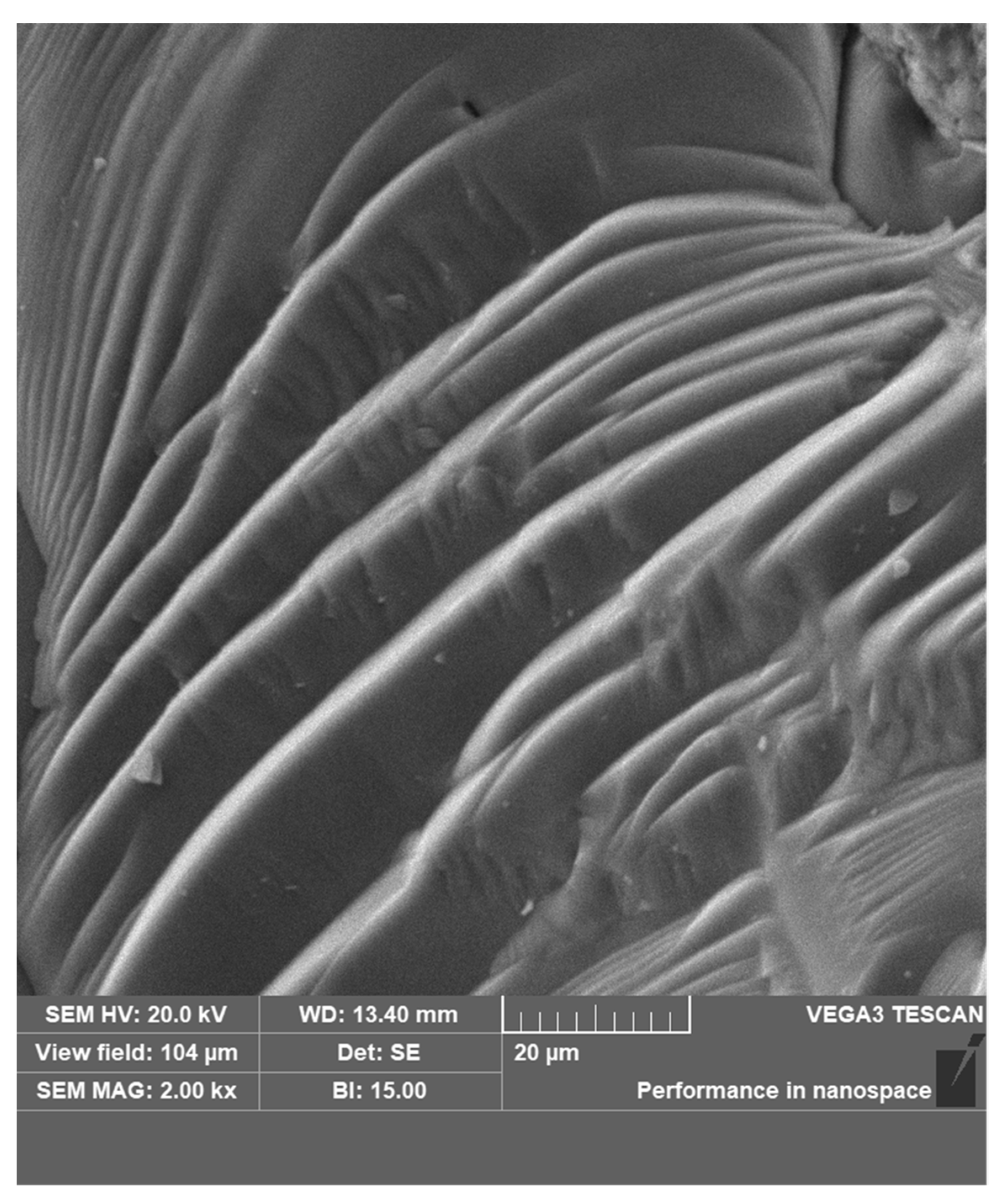 Minerals 11 00889 g016