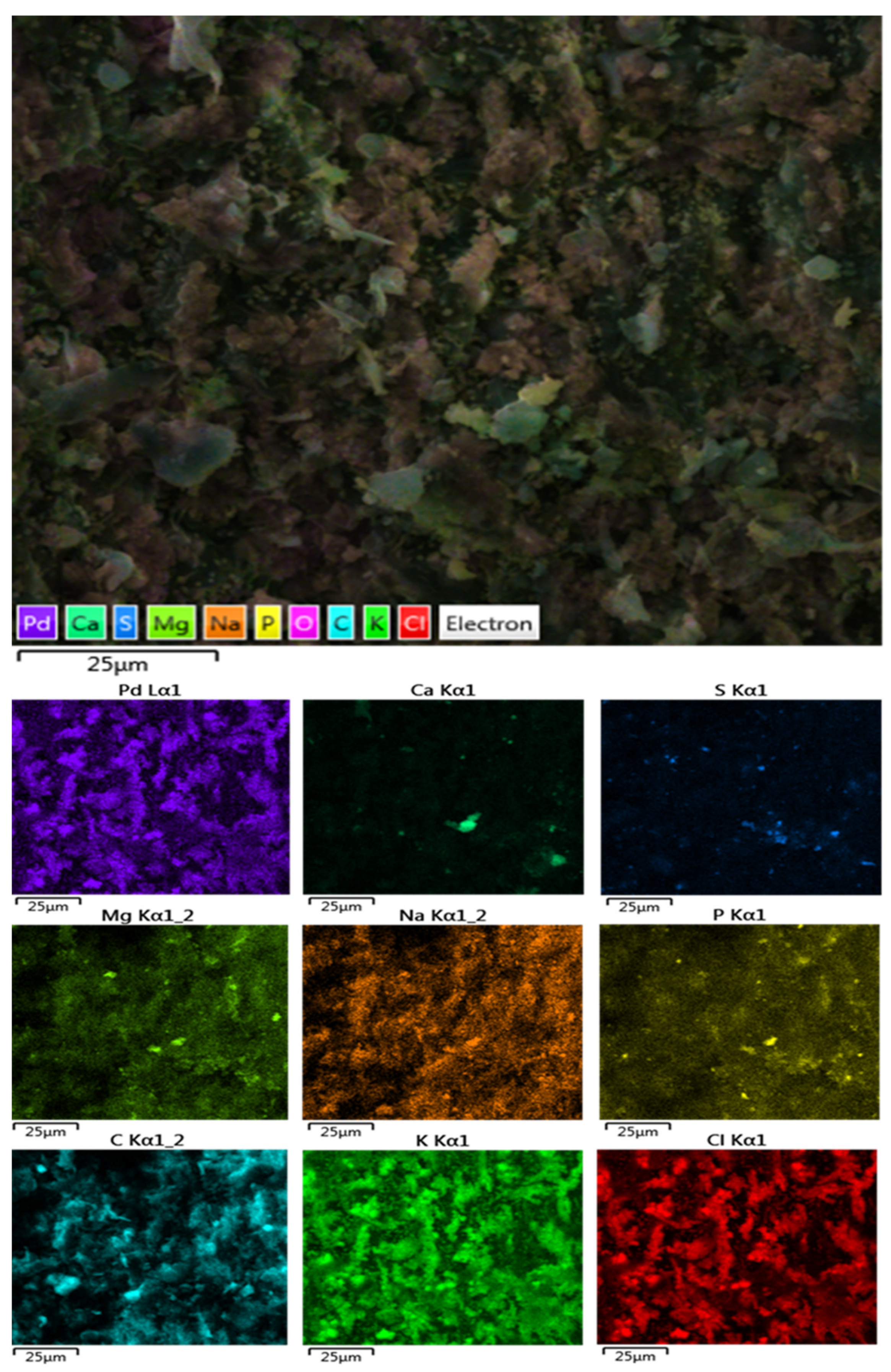 Minerals 11 00895 g004 550