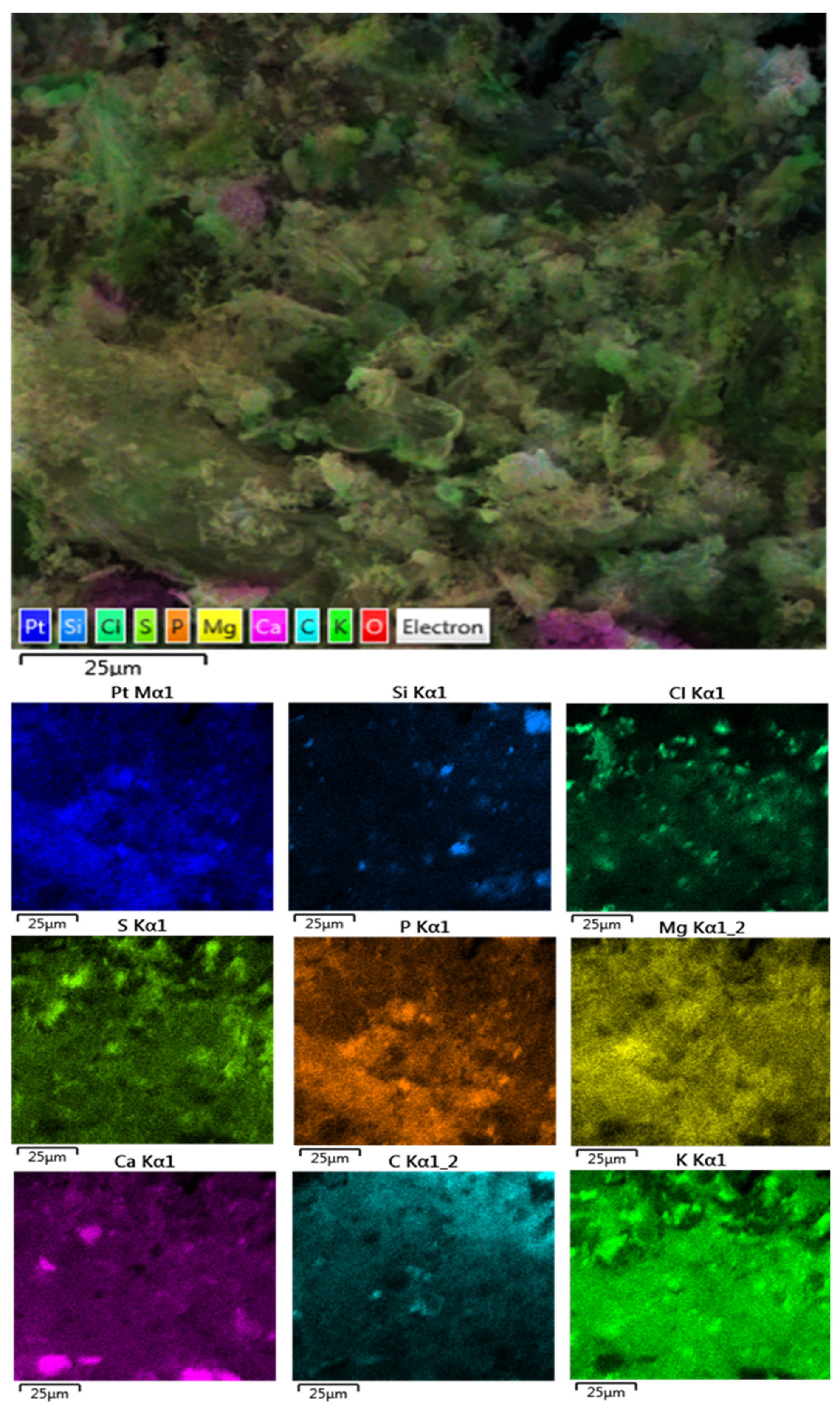 Minerals 11 00895 g005 550