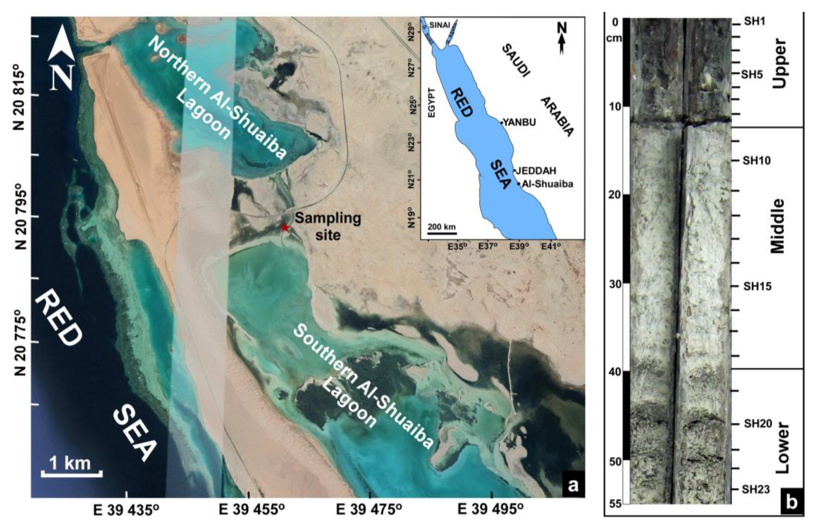 Minerals 11 00898 g001 550