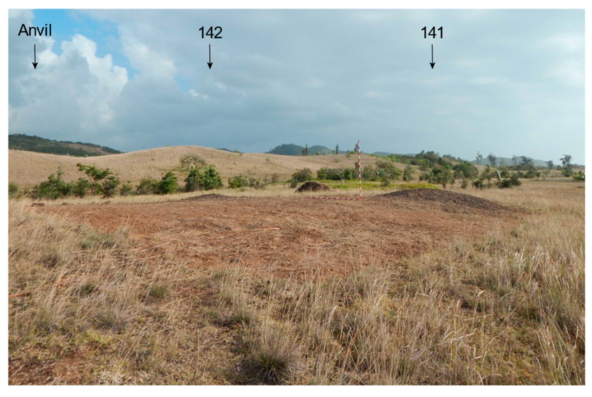 Minerals 11 00900 g004