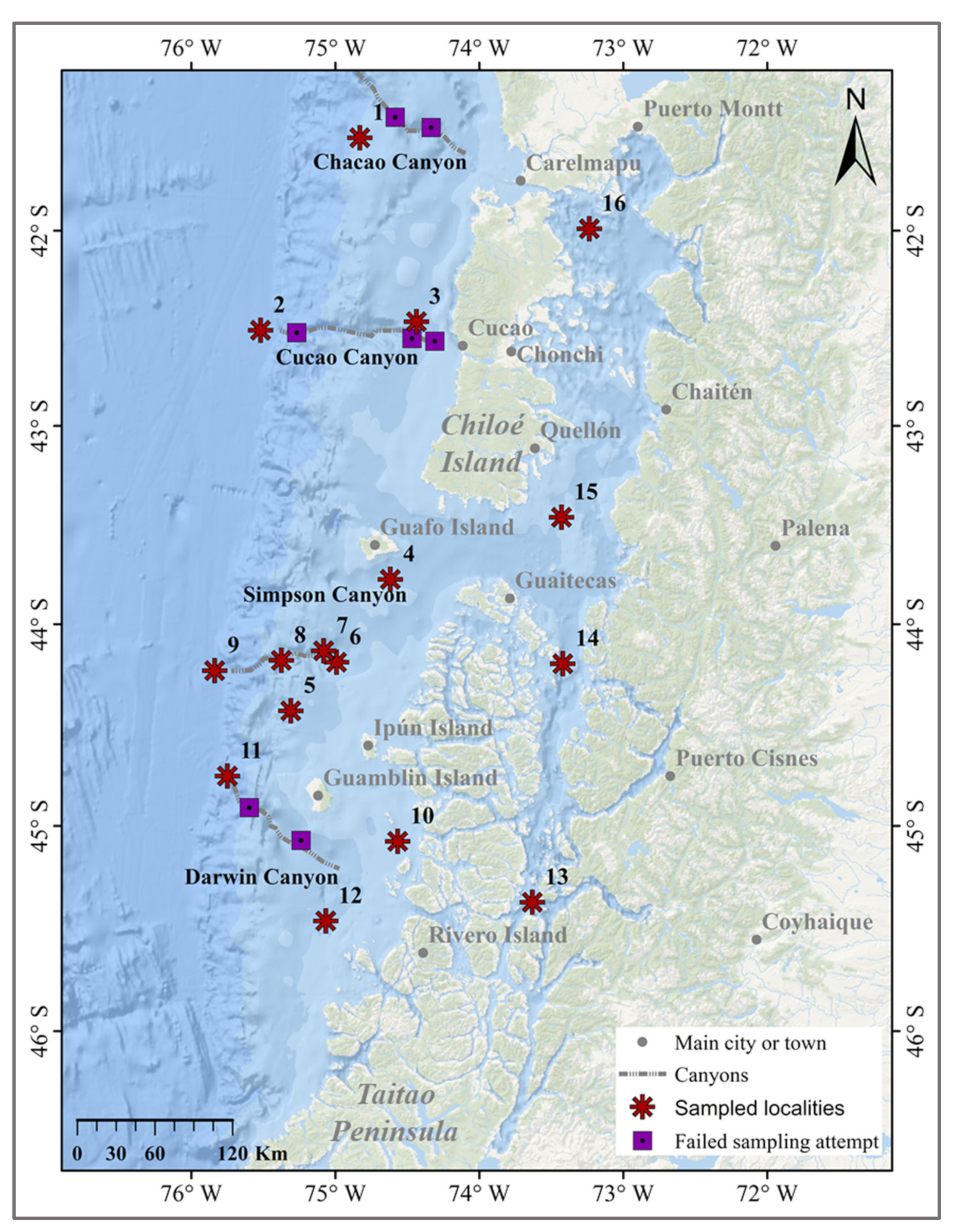 Minerals 11 00903 g003