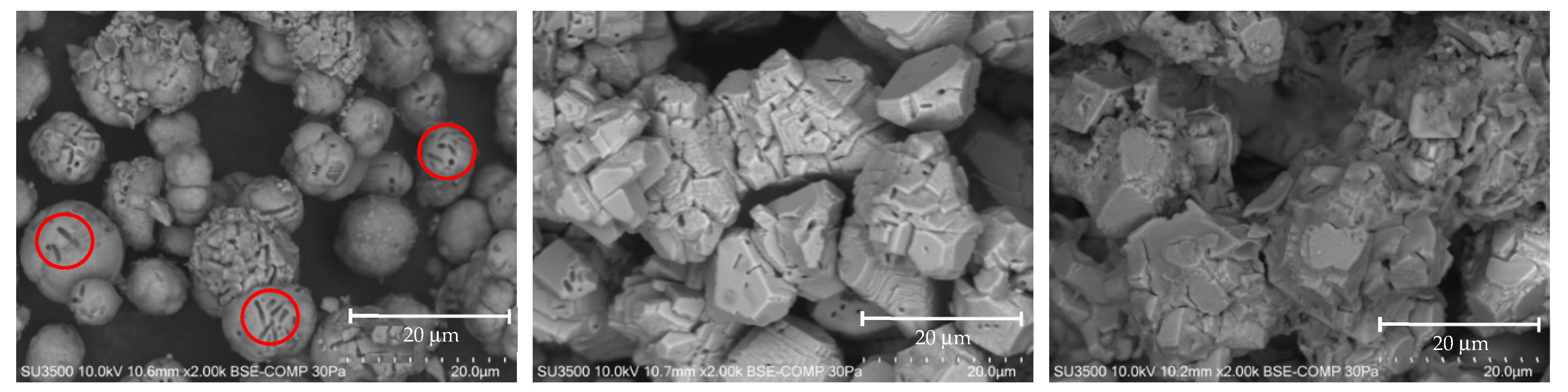 Minerals 11 00905 g005