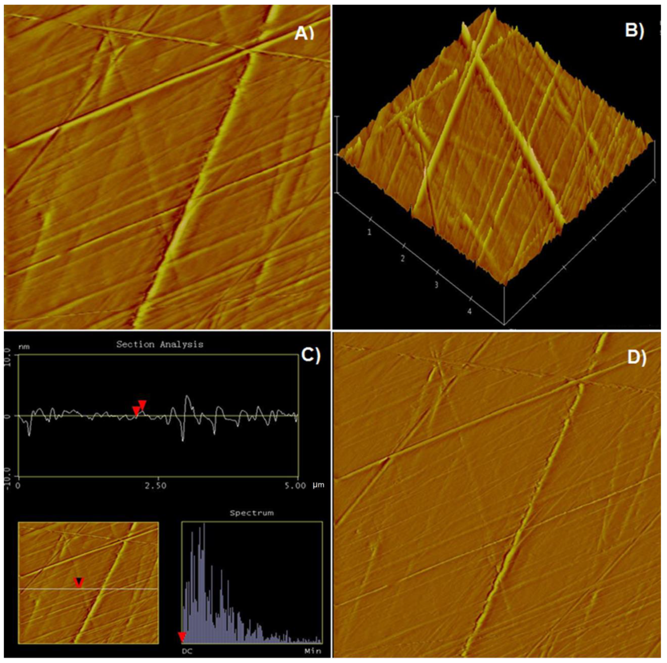 Minerals 11 00906 g001