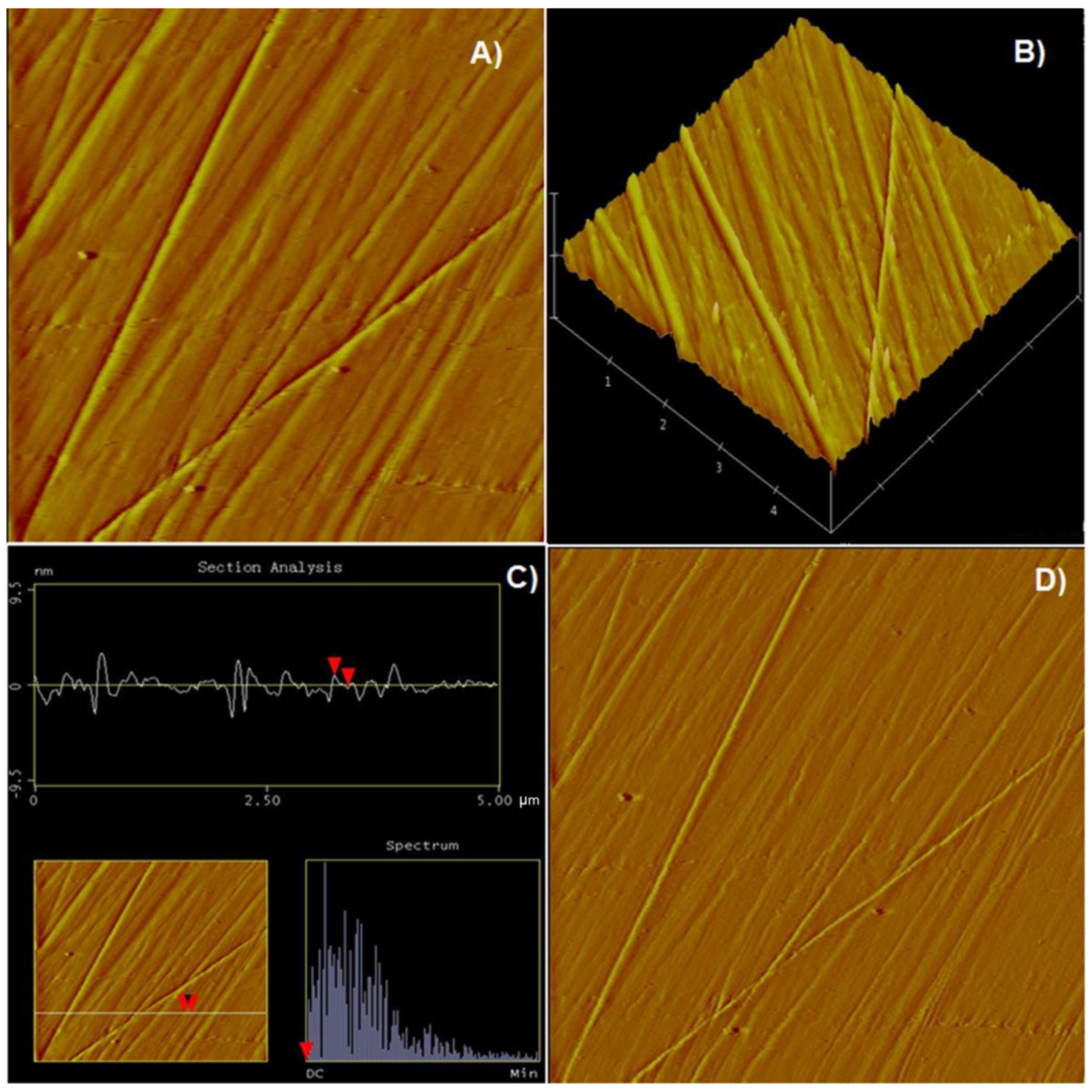 Minerals 11 00906 g002