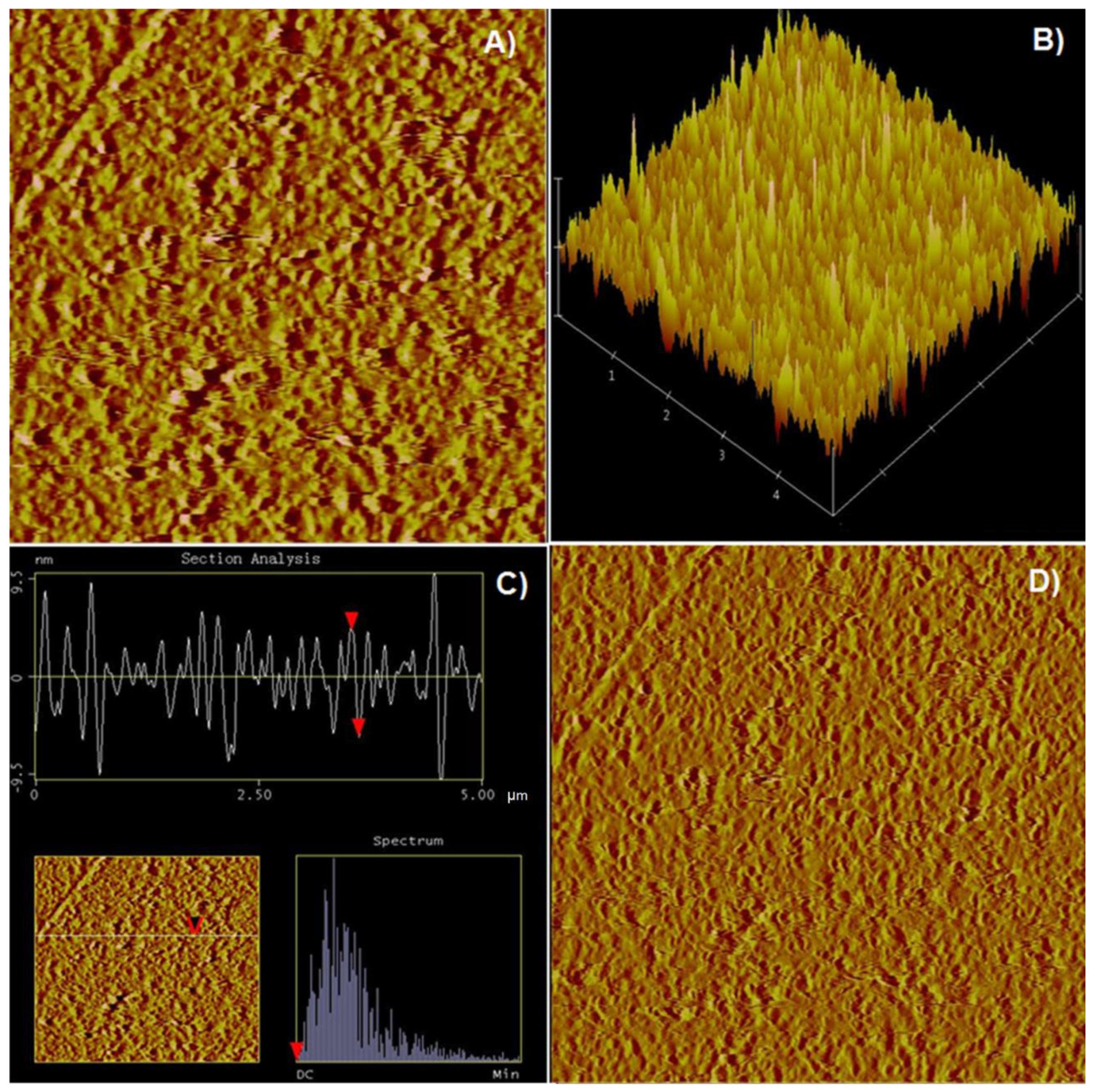 Minerals 11 00906 g004
