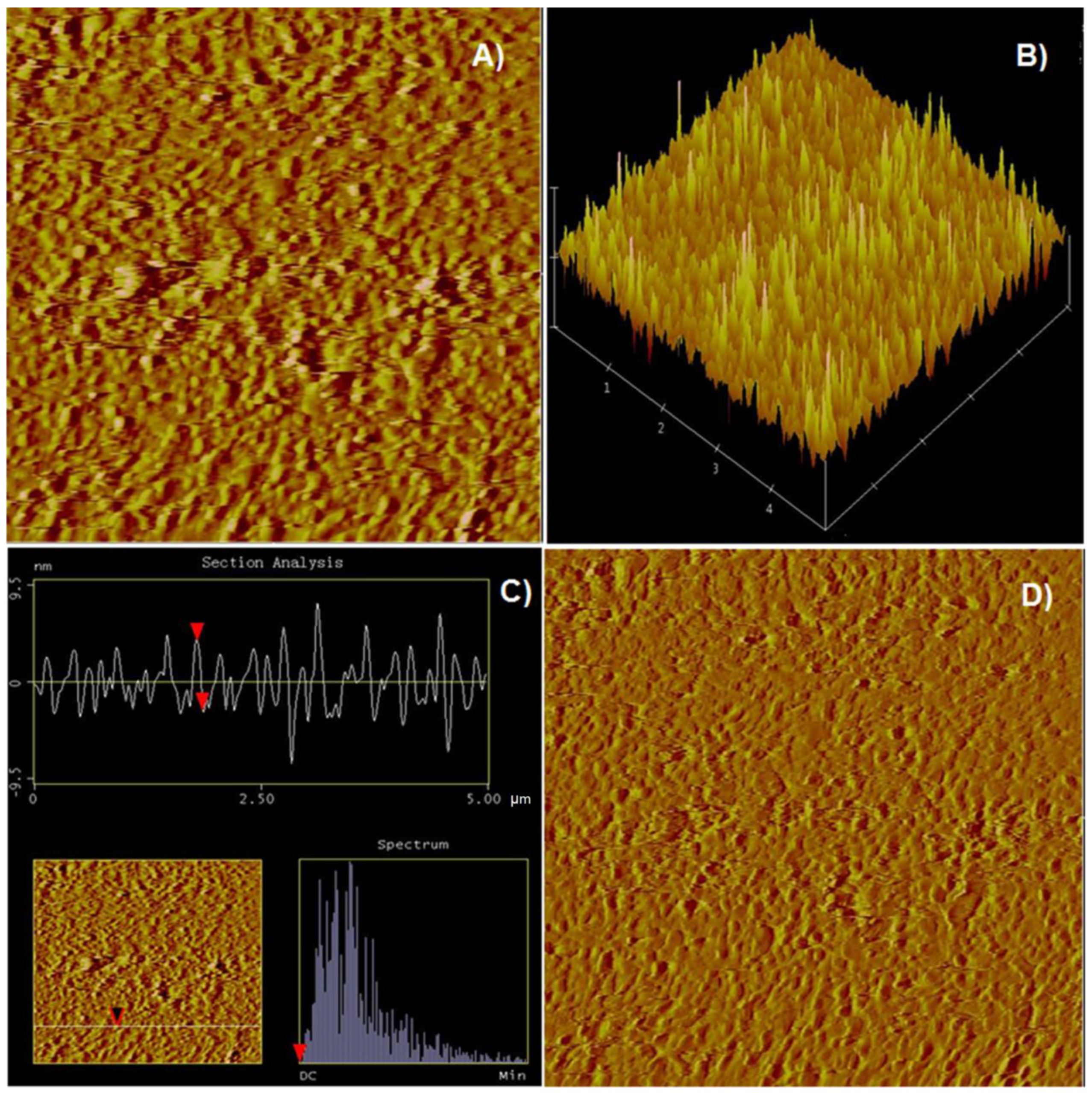Minerals 11 00906 g005