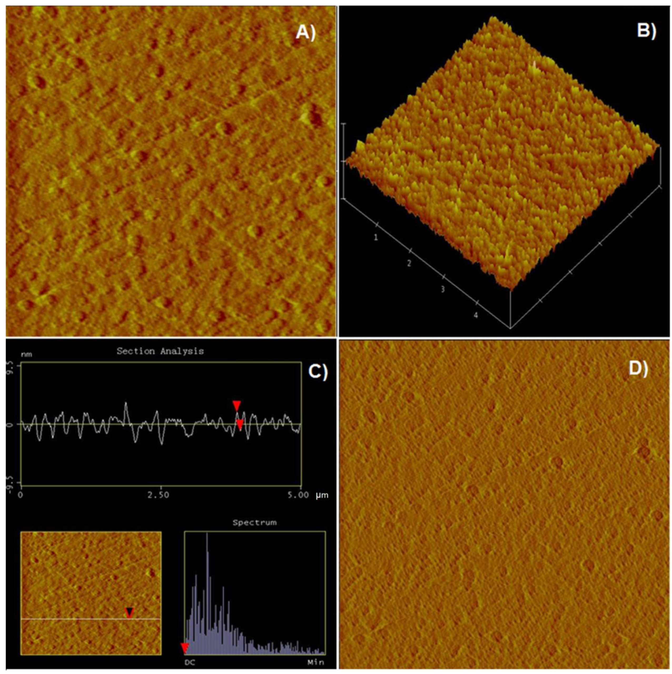 Minerals 11 00906 g010