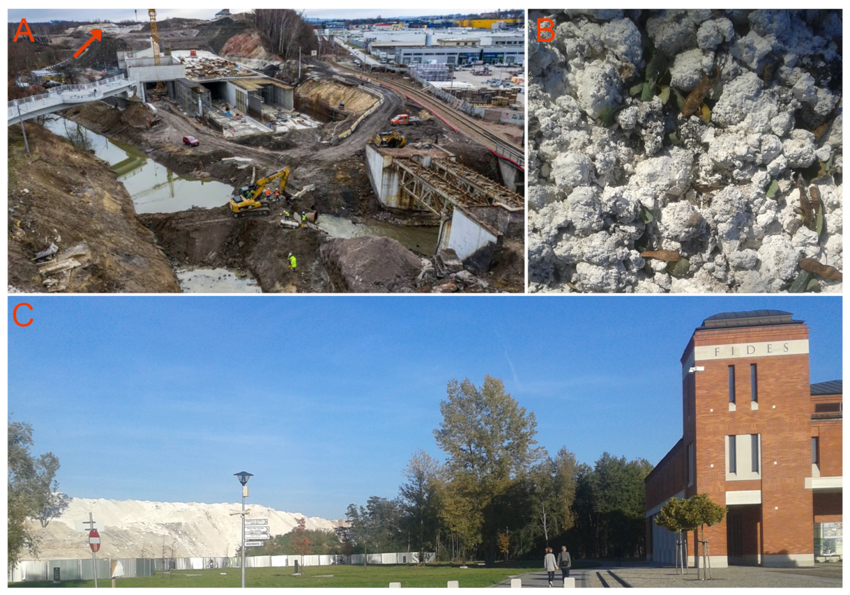 Minerals 11 00908 g003 Minerals 11 00908 g003