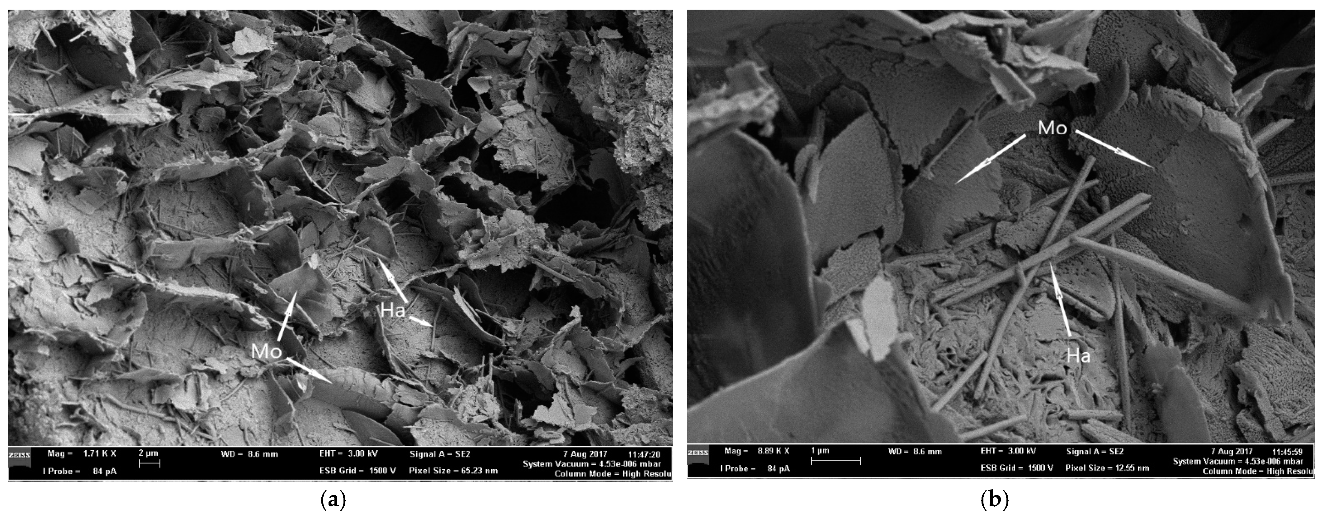 Minerals 11 00938 g004 550
