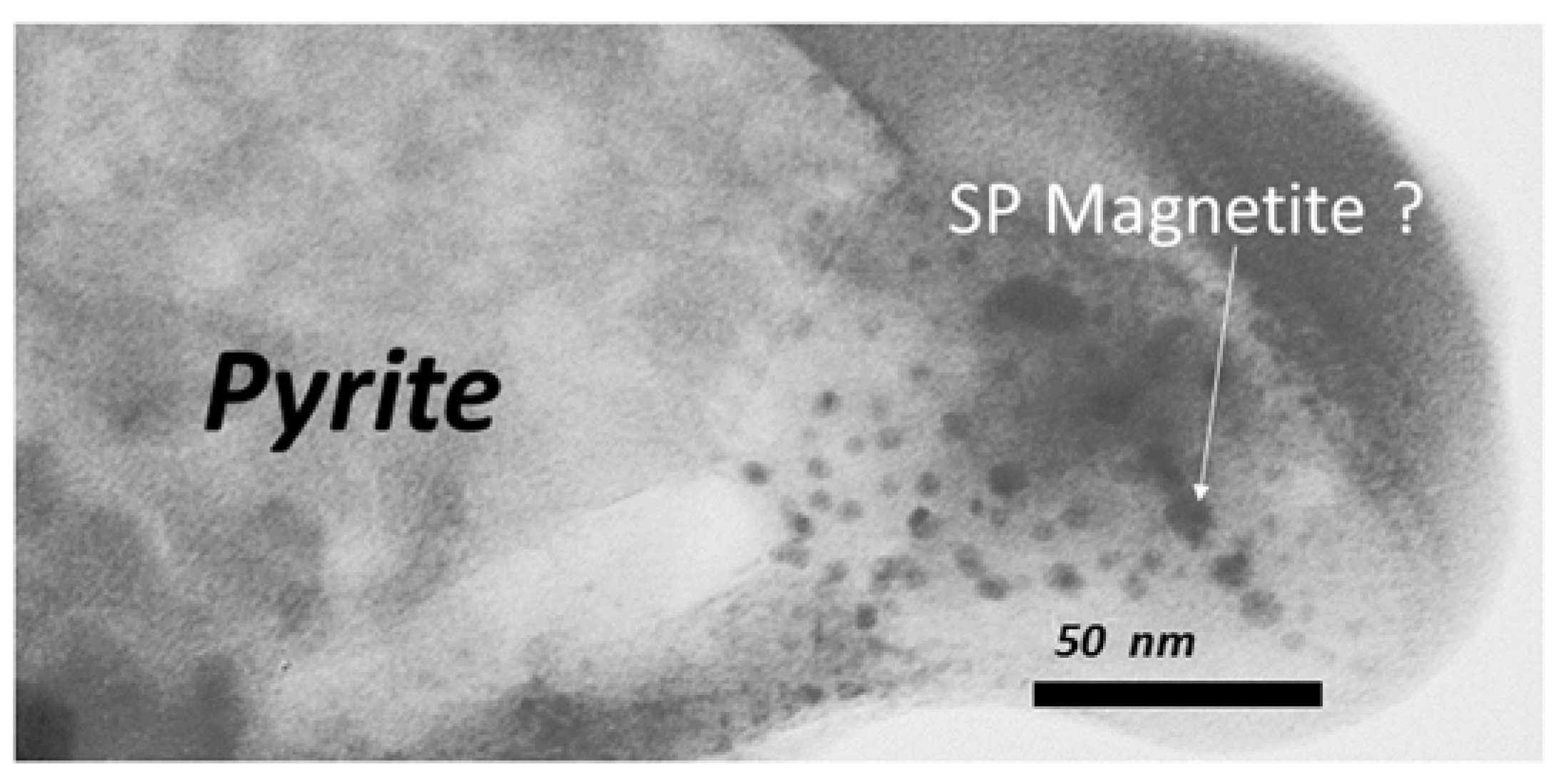 Minerals 11 00957 g011 Minerals 11 00957 g011