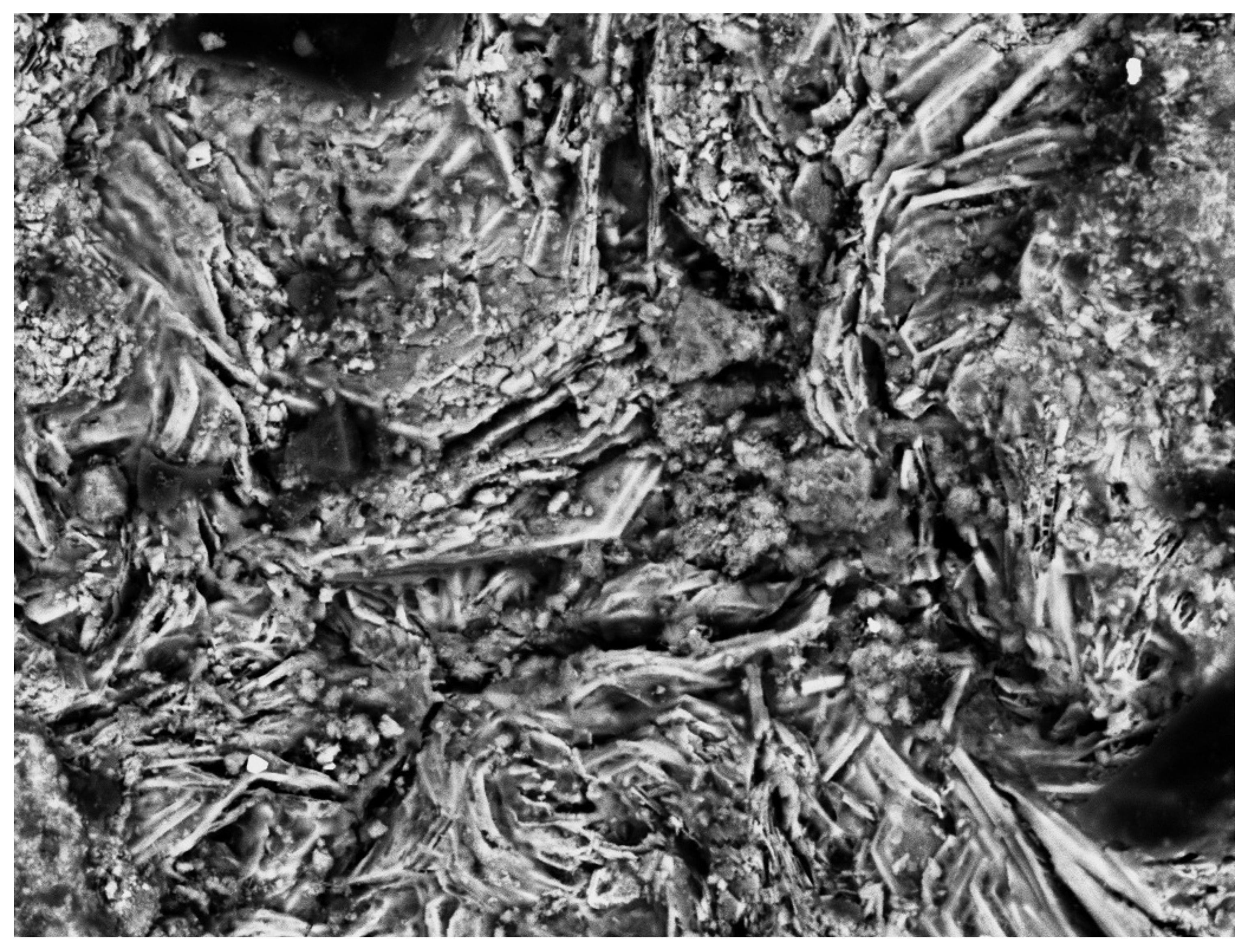 Minerals 11 00969 g006 550