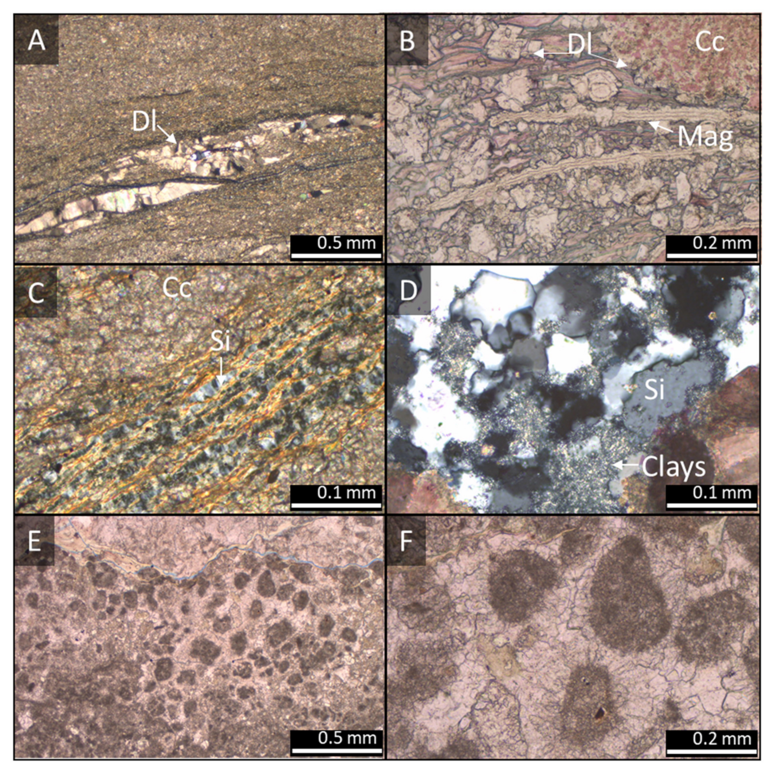 Minerals 11 00970 g003 550