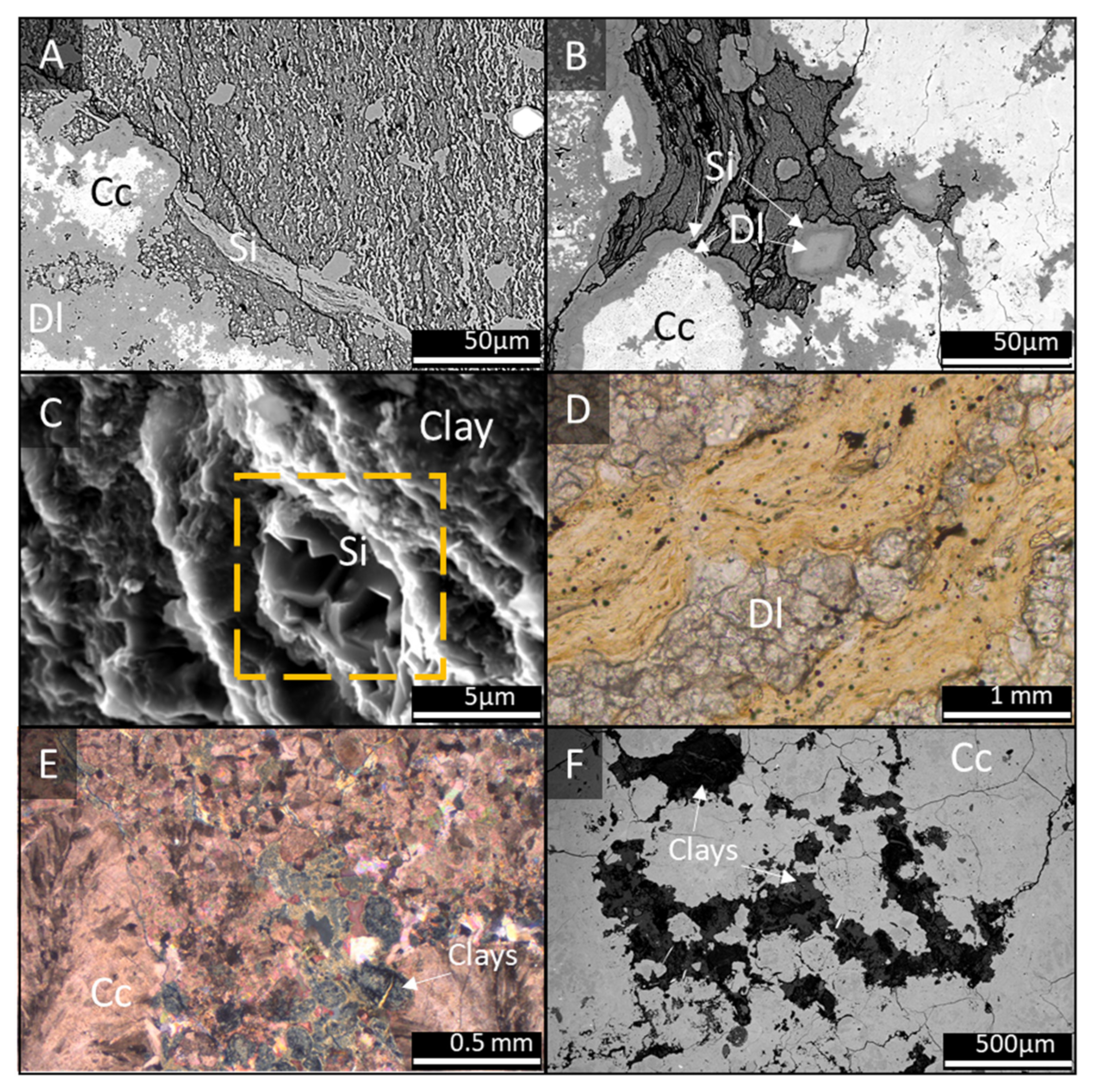 Minerals 11 00970 g004 550