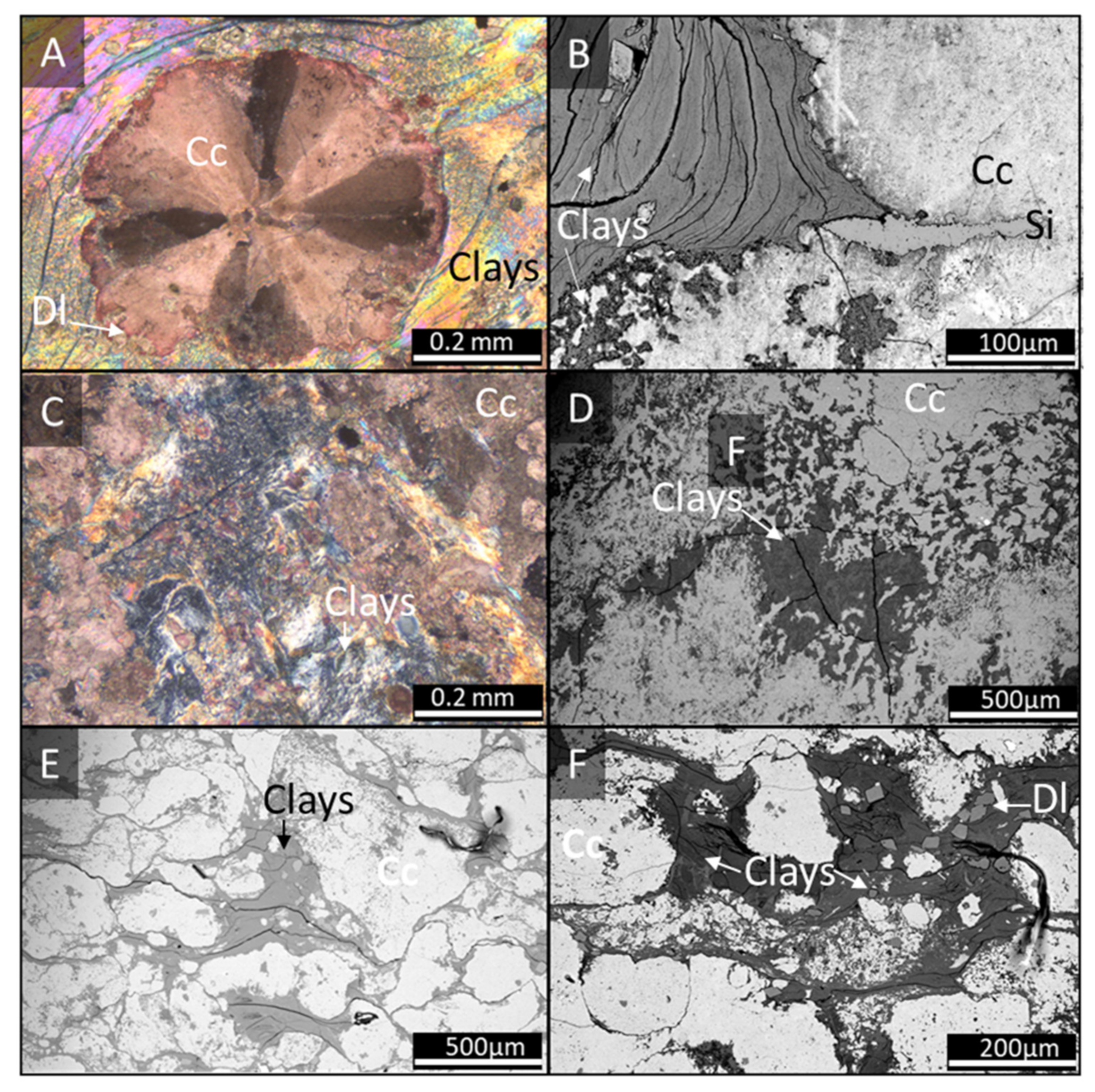 Minerals 11 00970 g007 550