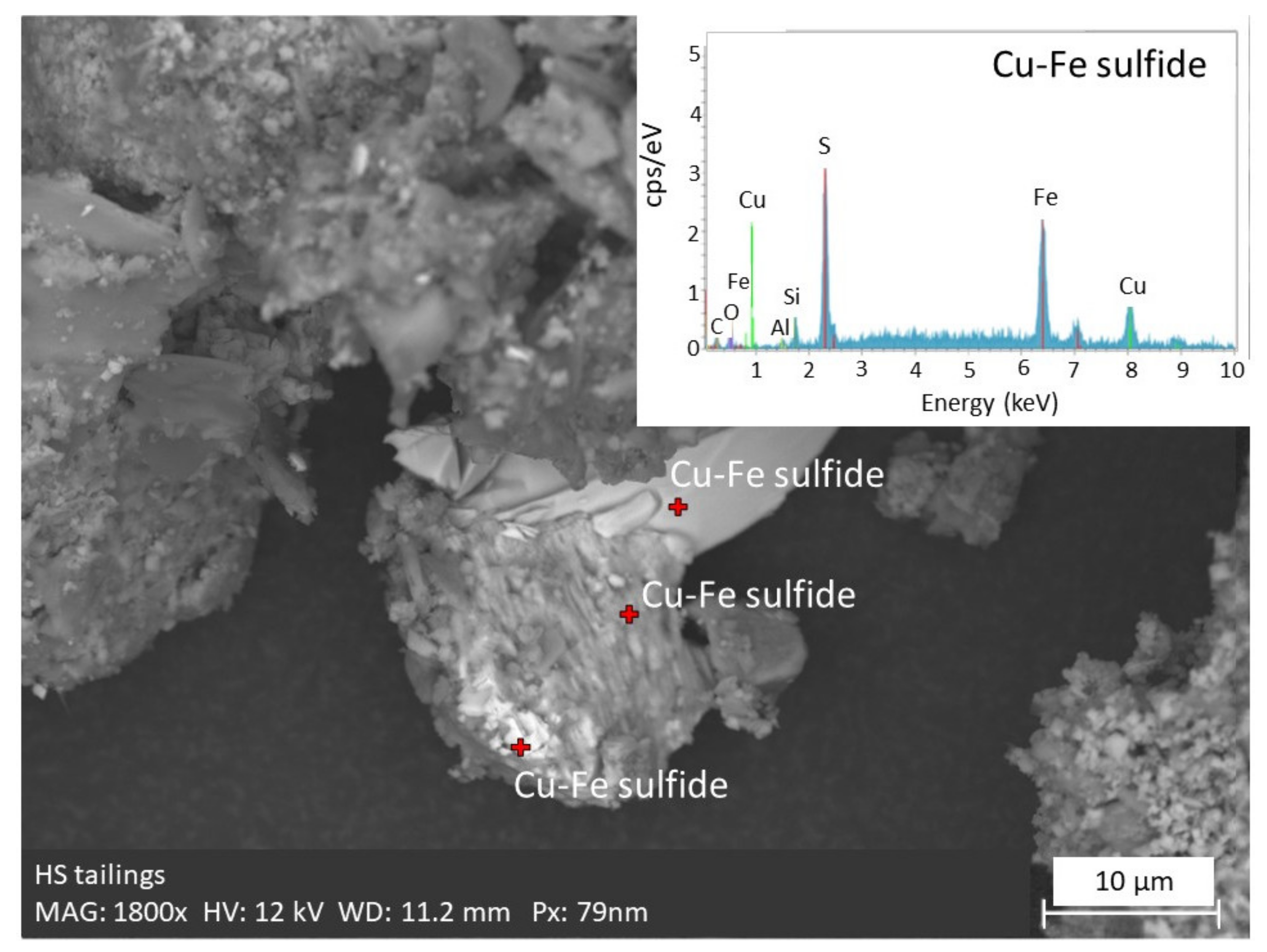 Minerals 11 00987 g002