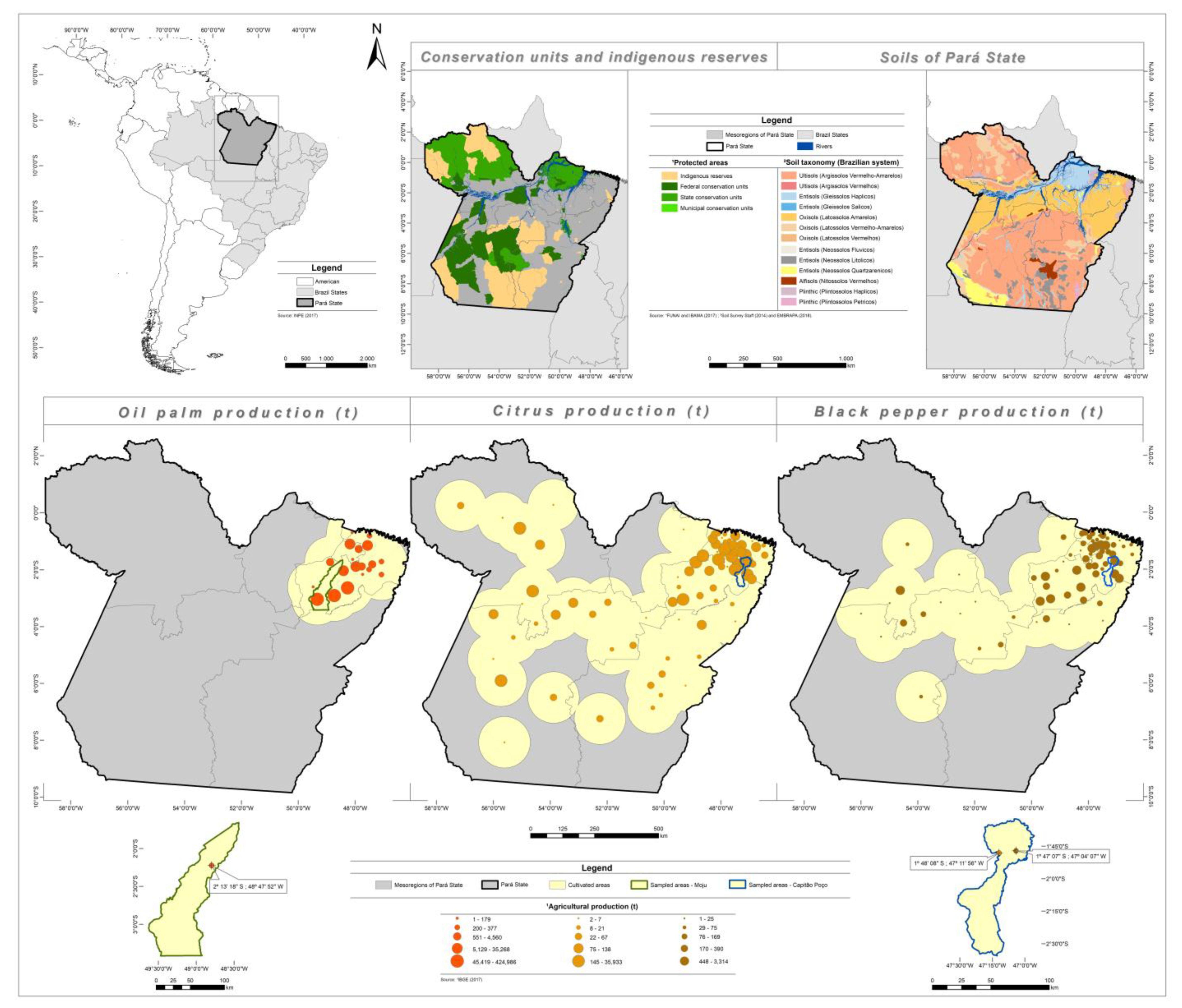 Minerals 11 00990 g001 550