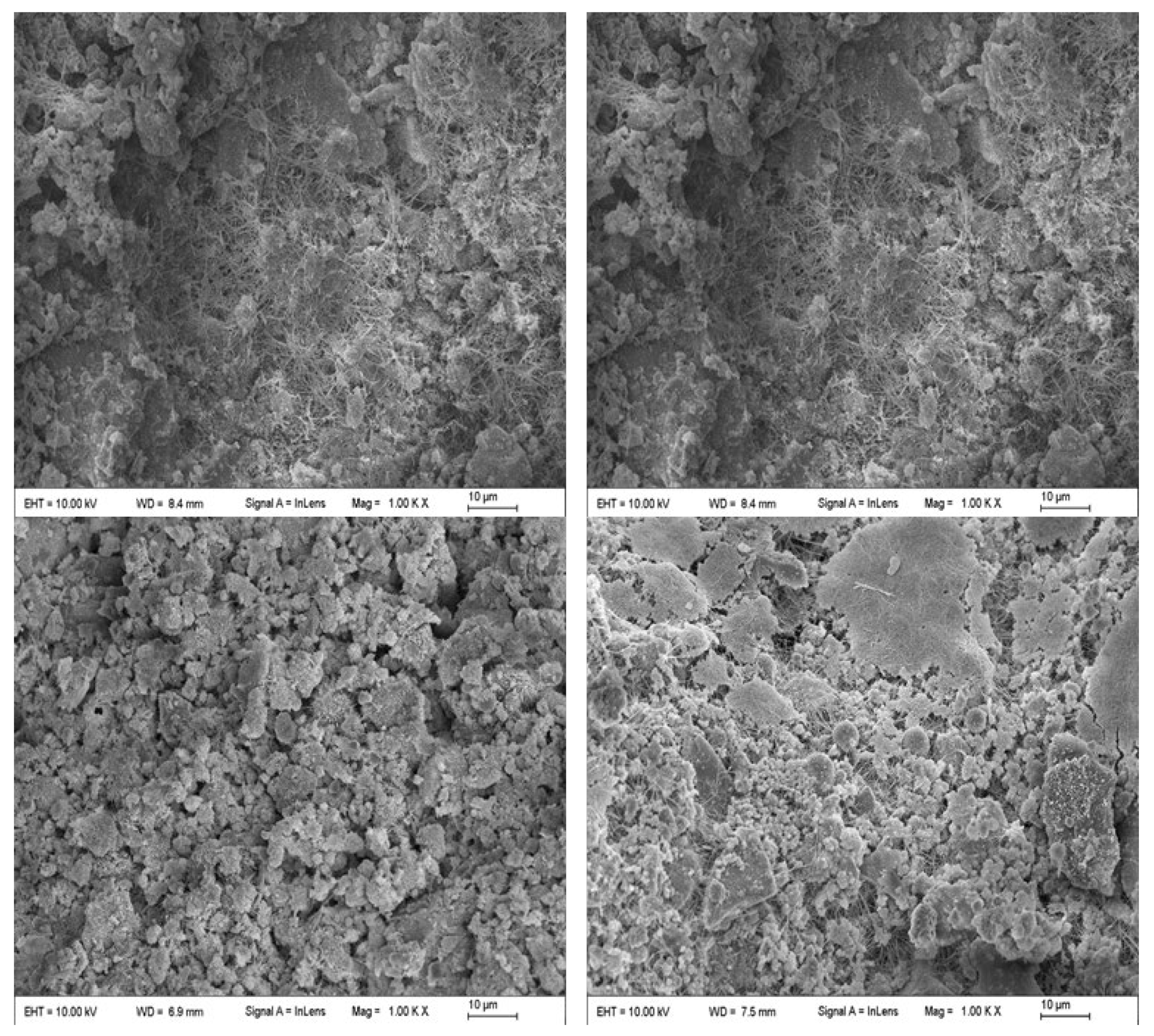 Minerals 11 00992 g011