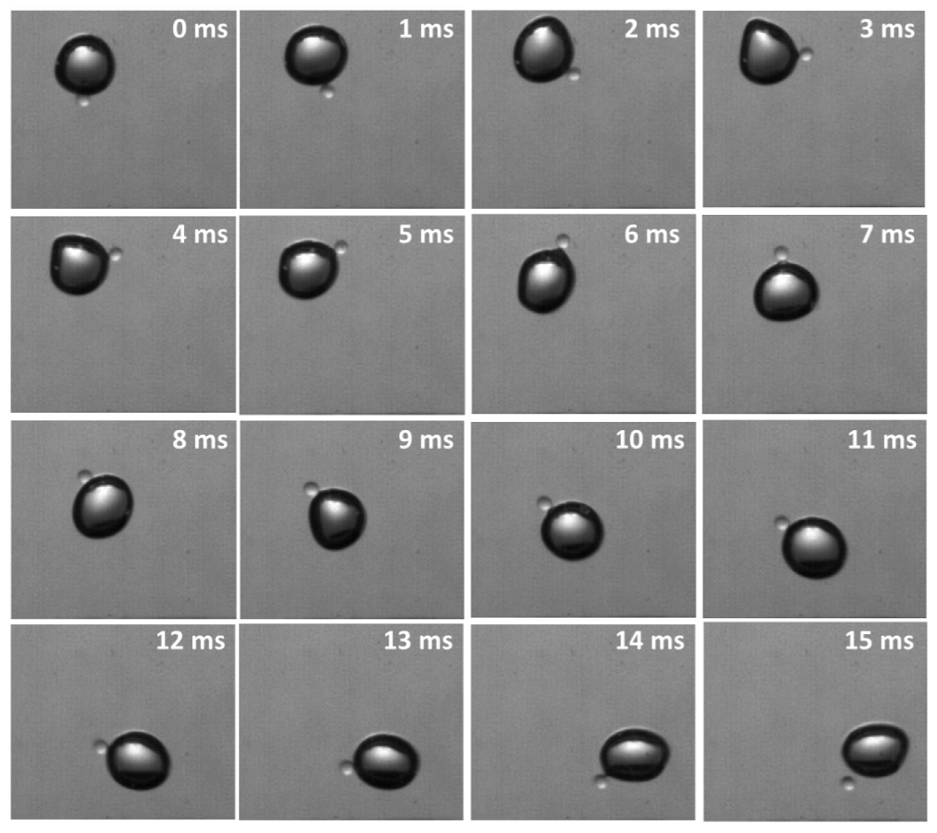 Minerals 11 01006 g005