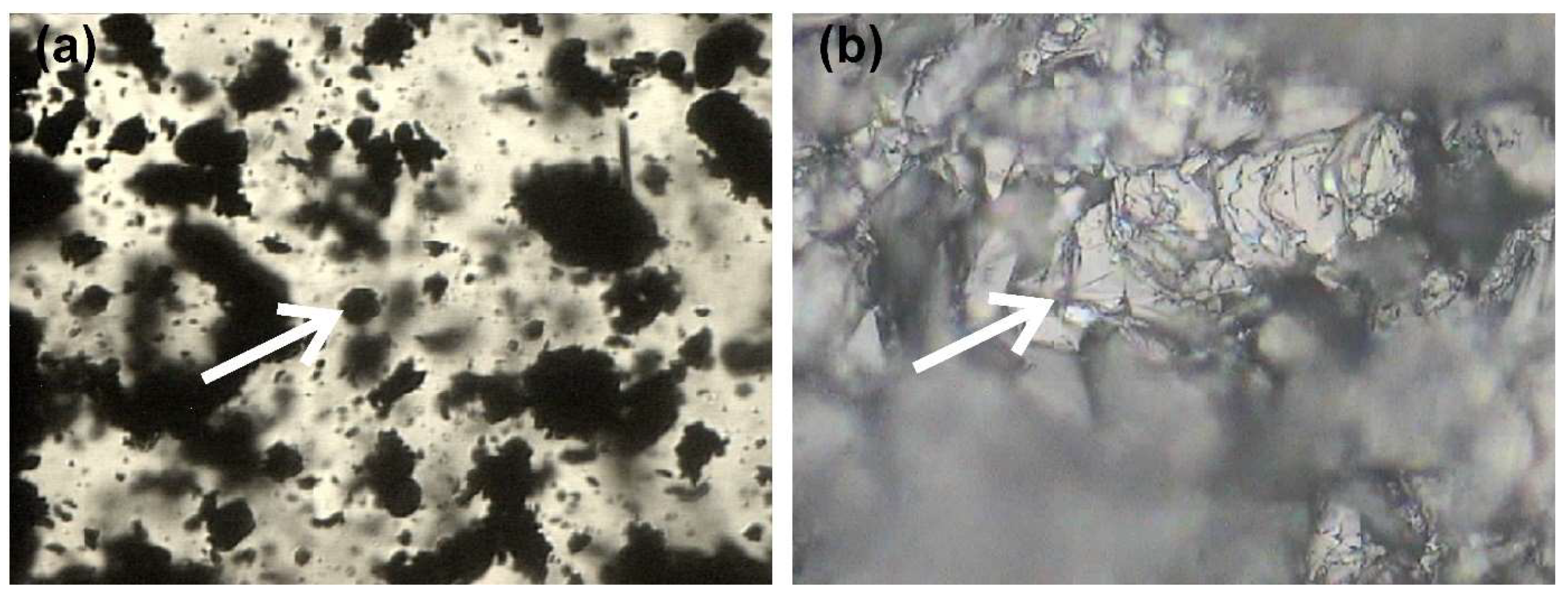Minerals 11 01027 g004 550