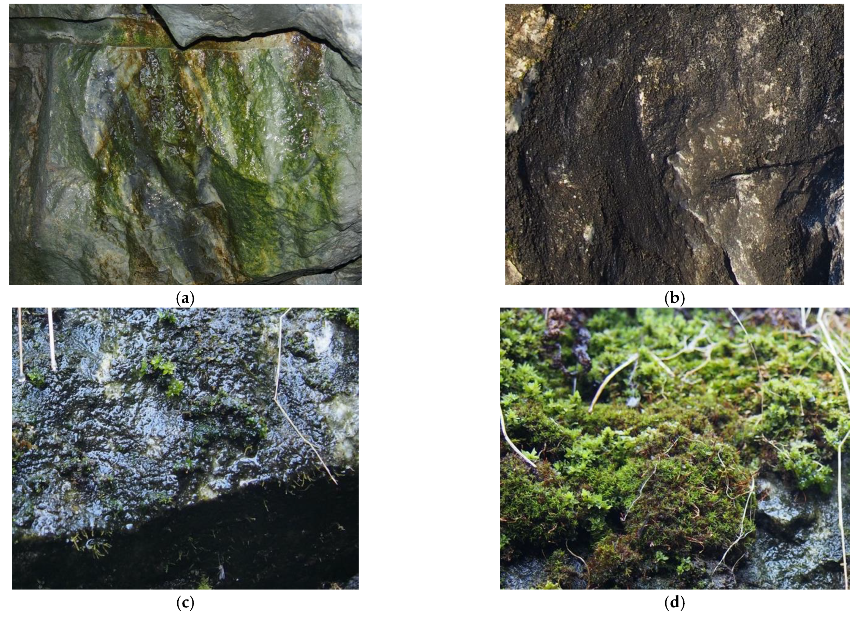 Minerals 11 01033 g003