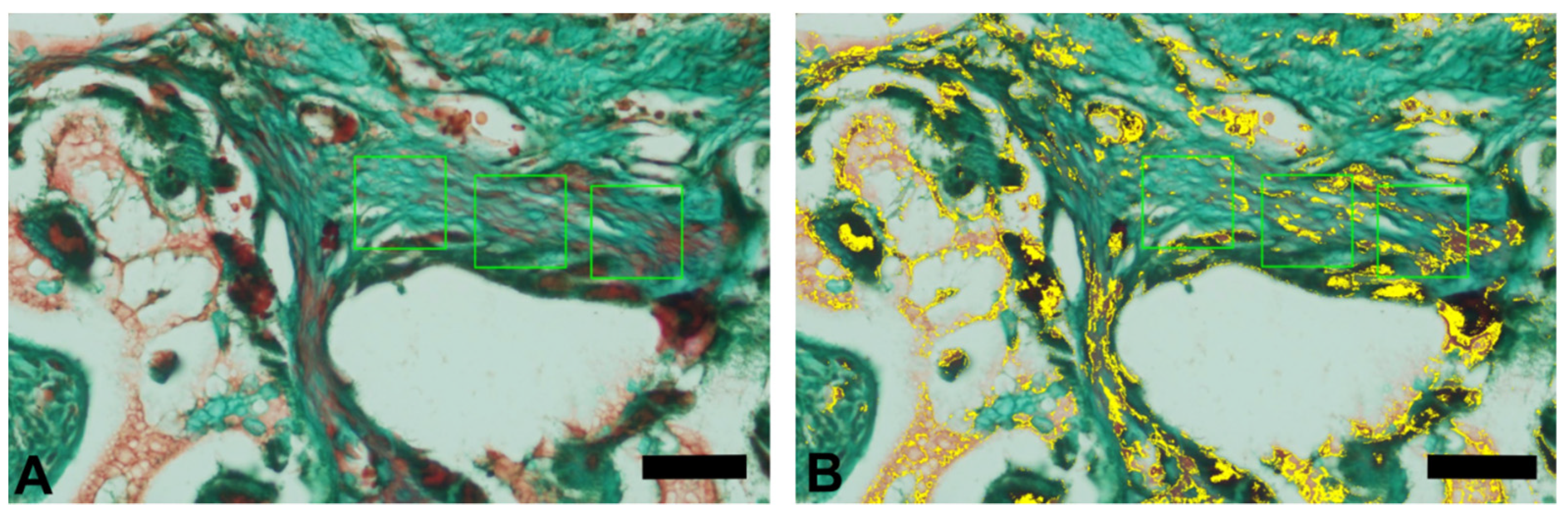 Minerals 11 01048 g002