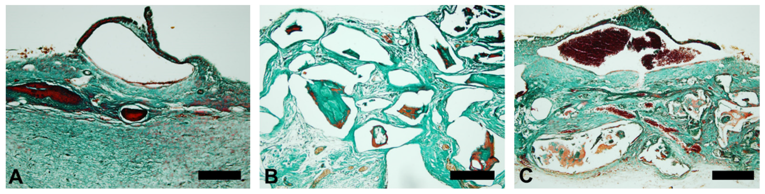 Minerals 11 01048 g003
