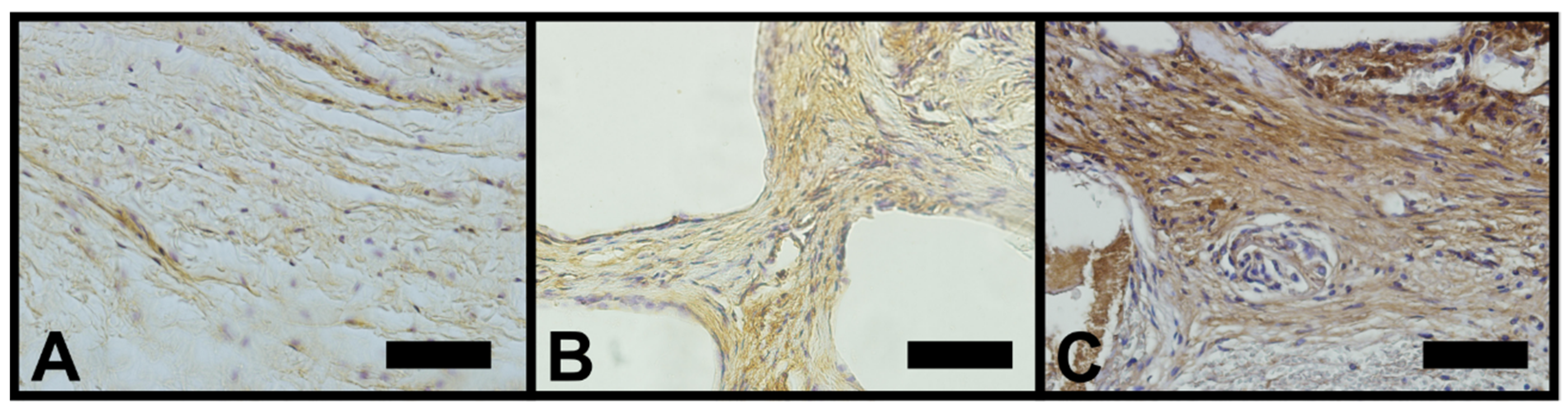 Minerals 11 01048 g006